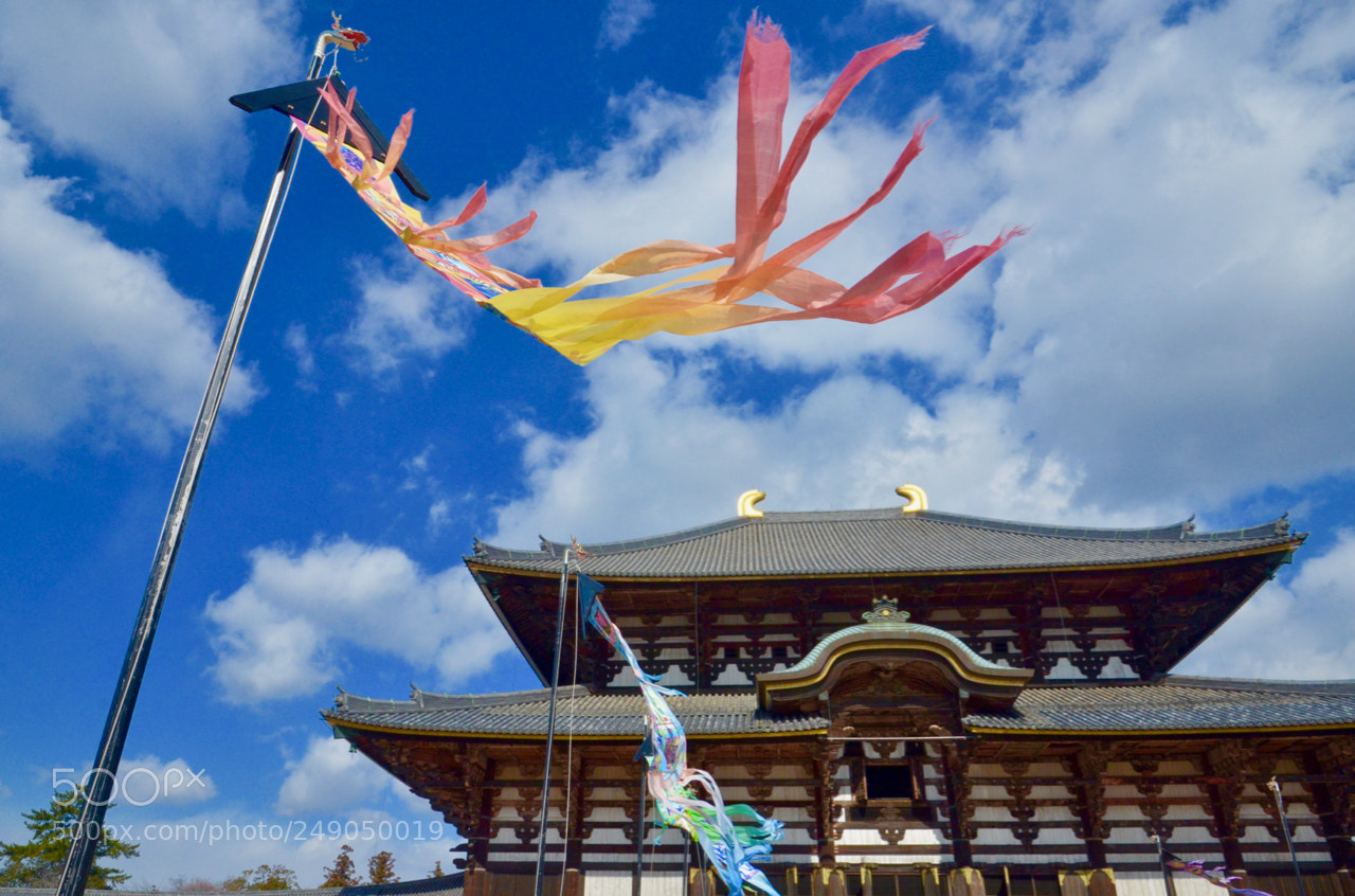 Nikon D7000 sample photo. Todaji temple, nara photography