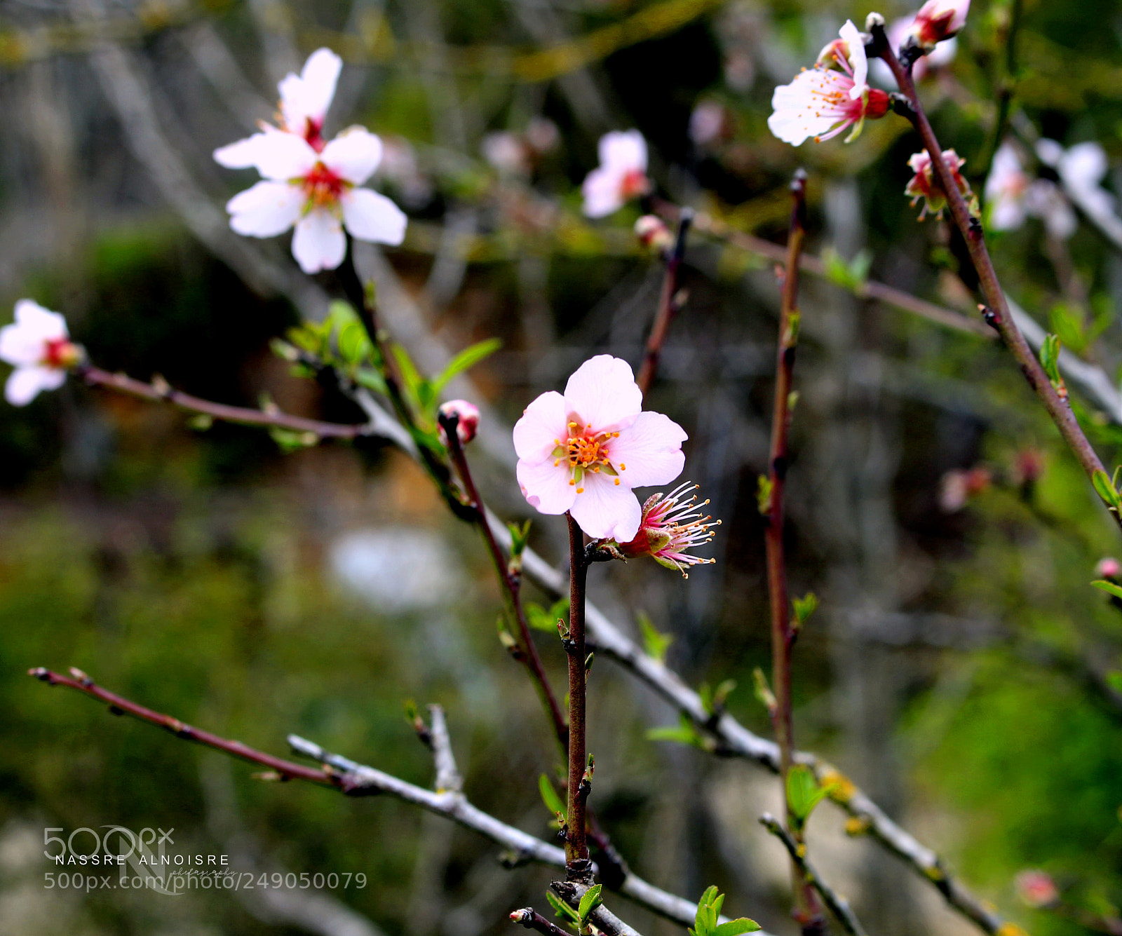 Canon EOS 700D (EOS Rebel T5i / EOS Kiss X7i) sample photo. Untitled photography