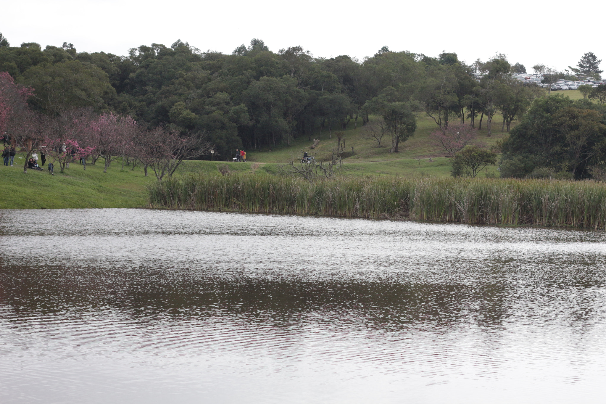 Canon EOS 700D (EOS Rebel T5i / EOS Kiss X7i) + Canon EF 50mm f/1.8 sample photo. Img photography