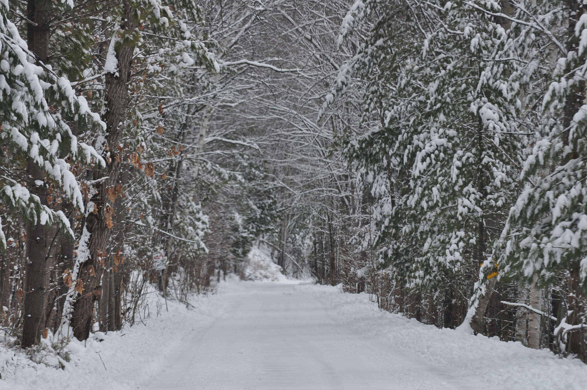 Nikon D5000 sample photo. Long road home photography