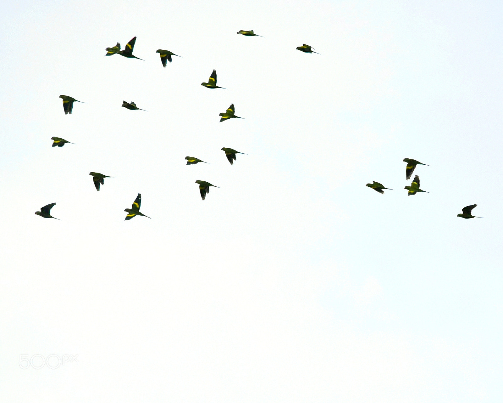 Nikon D5300 sample photo. "bonjuxuxu... ;-)" photography
