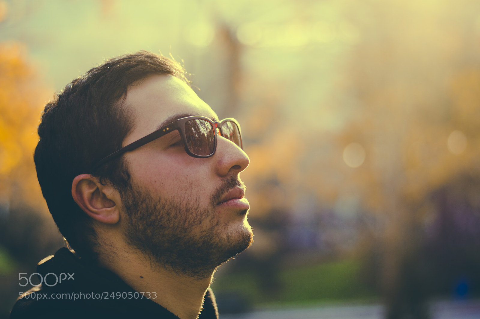 Nikon D7200 sample photo. Mehdi photography