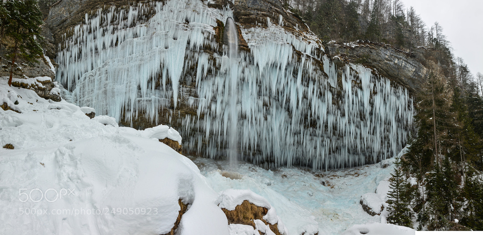 Nikon D7100 sample photo. A game of nature photography