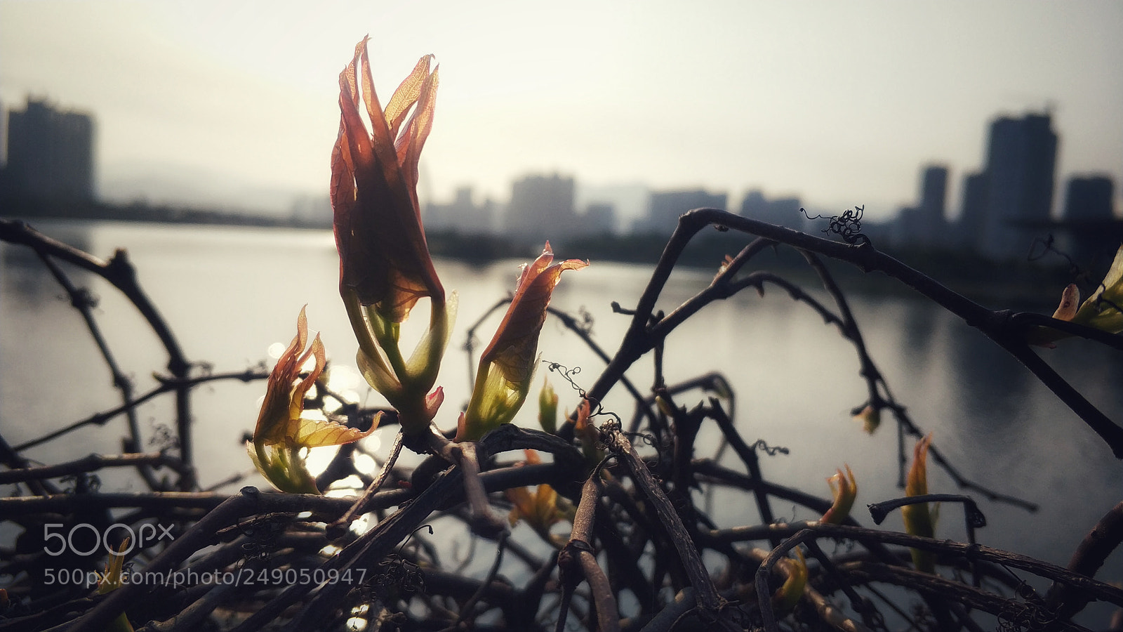 Xiaomi Mi Note 3 sample photo. Fuqing city photography
