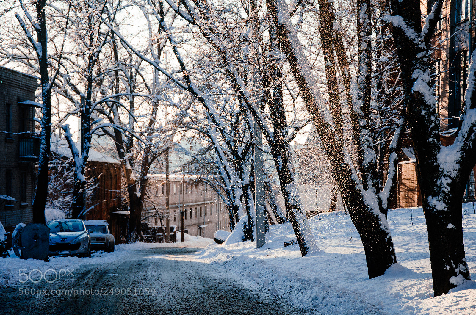 Nikon D7000 sample photo. Winter magic photography