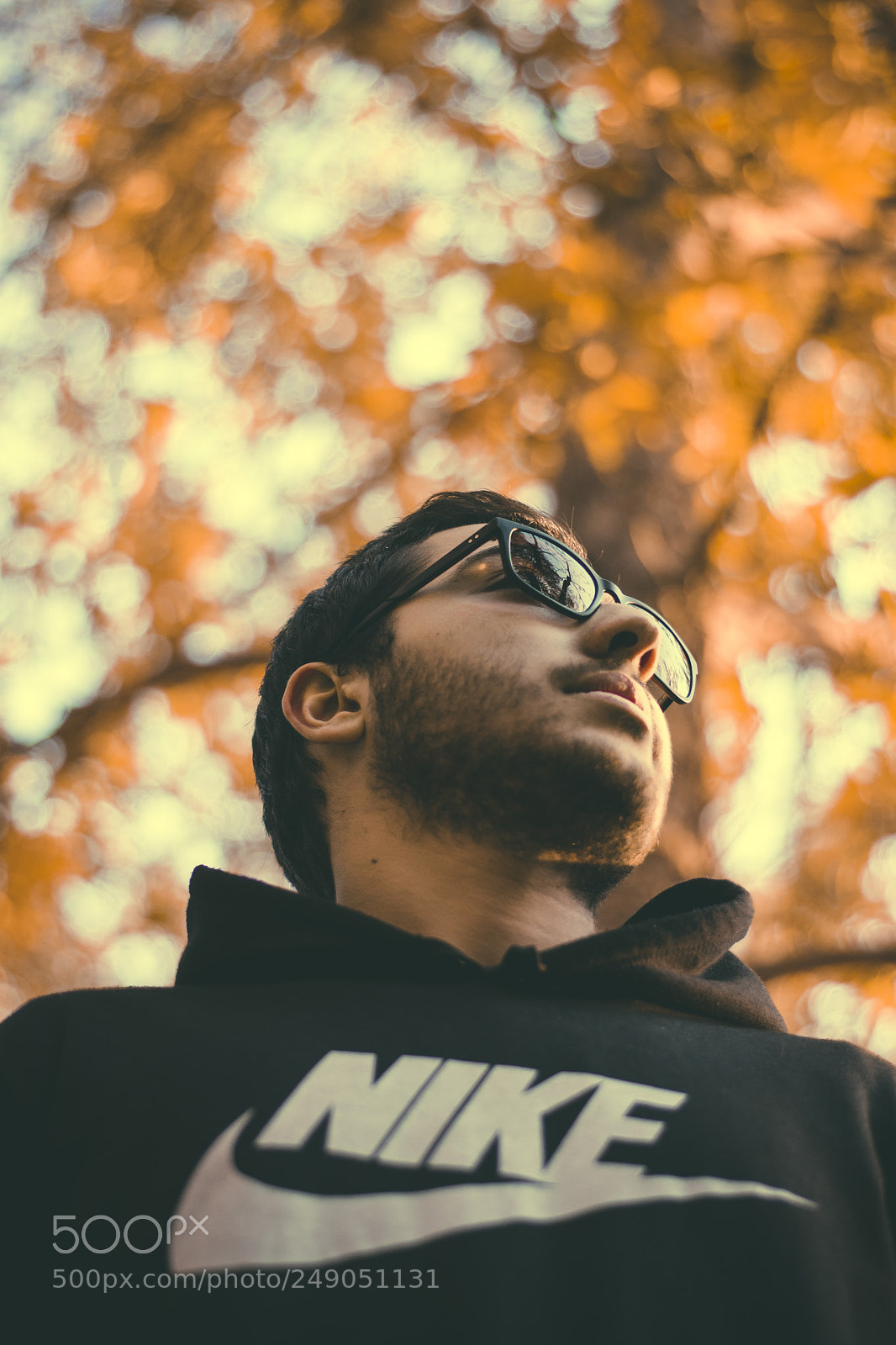 Nikon D7200 sample photo. Mehdi photography