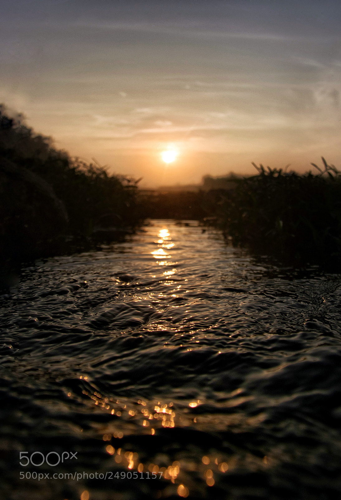Nikon D3300 sample photo. Golden water photography