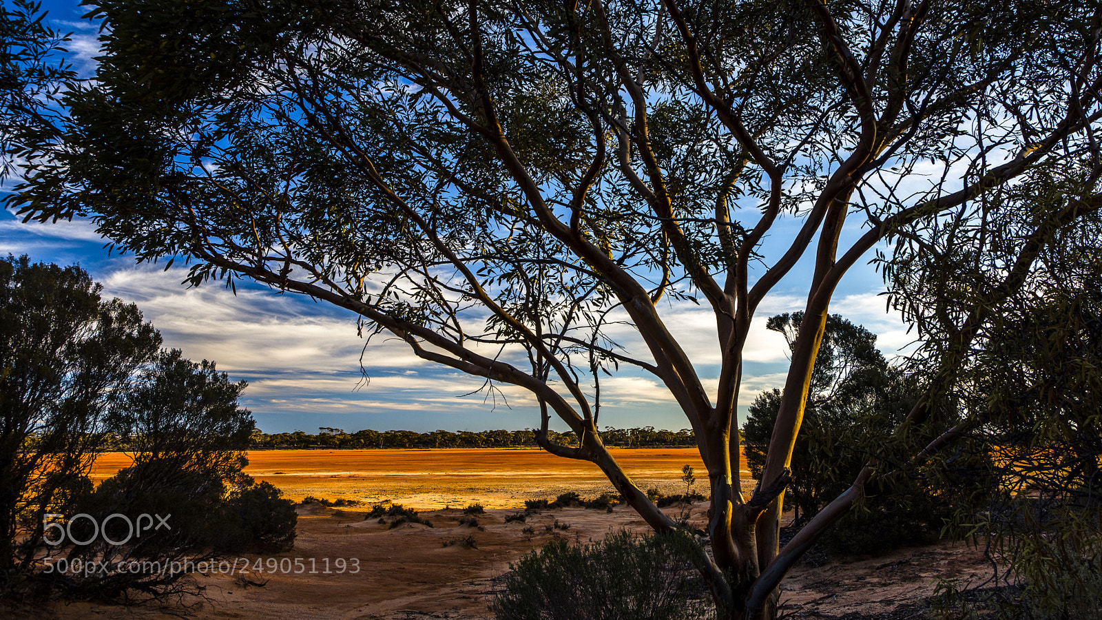 Nikon D7200 sample photo. Lake dundas nullarbor plain photography