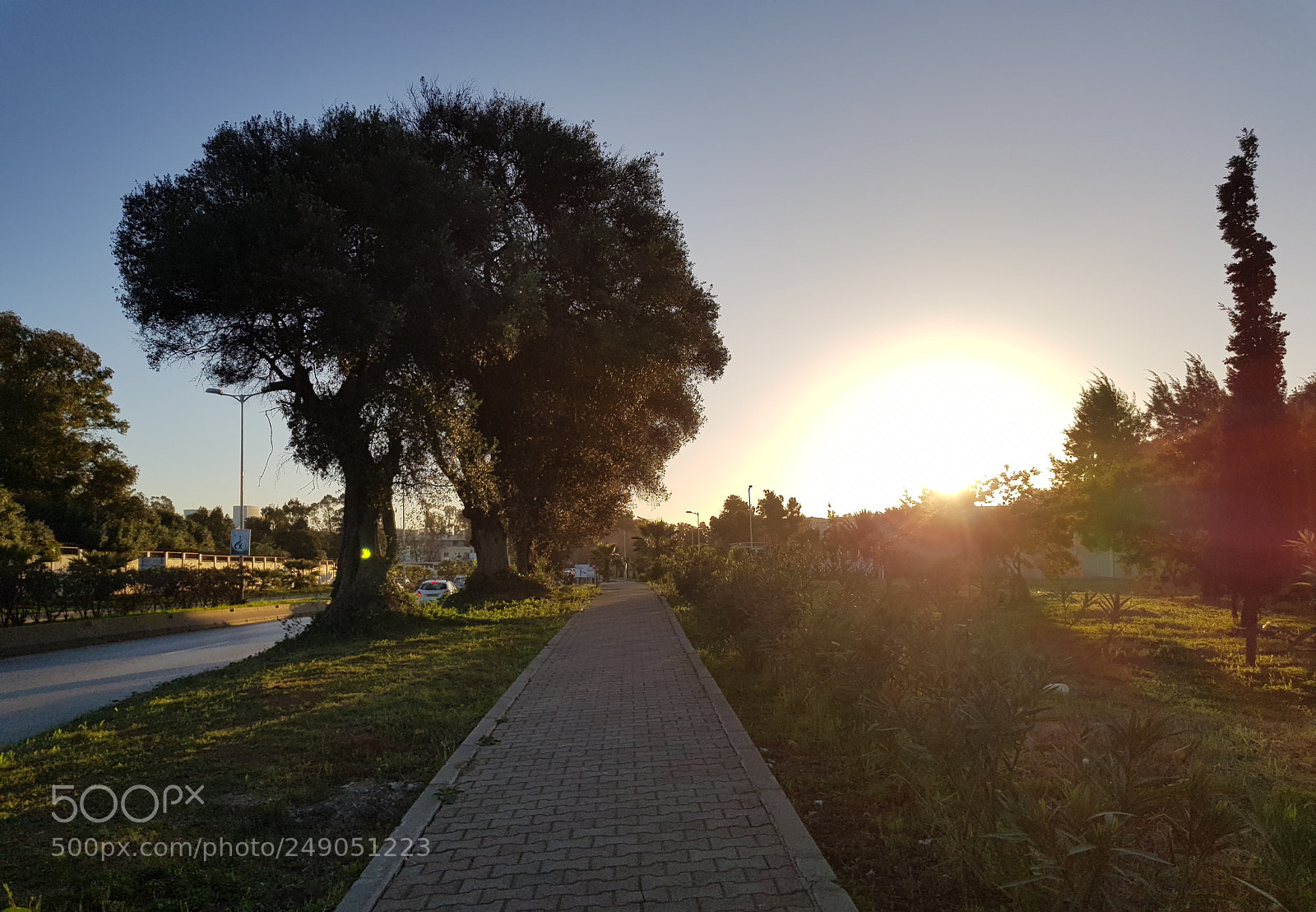 Samsung Galaxy S8 sample photo. 08:00 am photography
