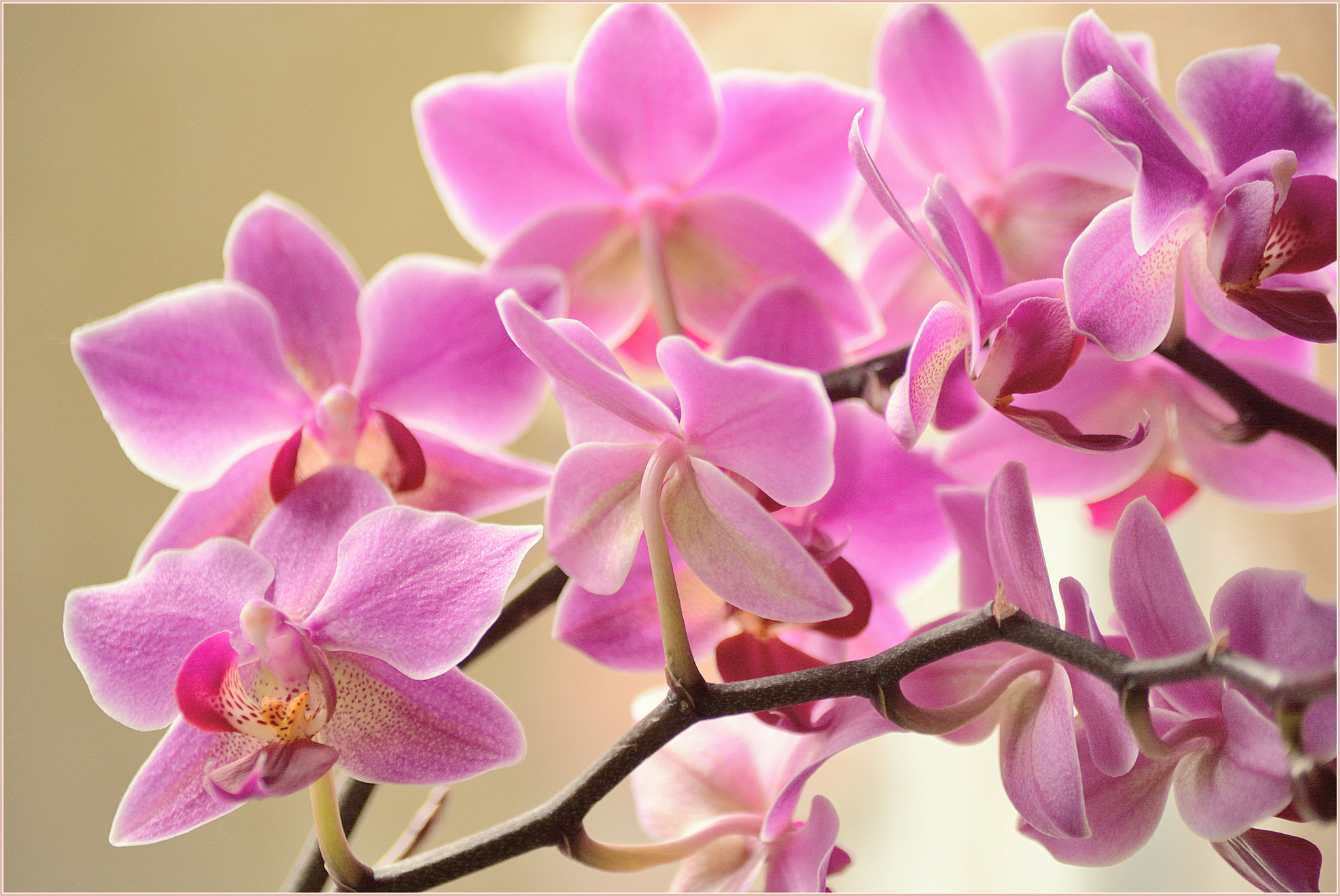 Nikon D5200 sample photo