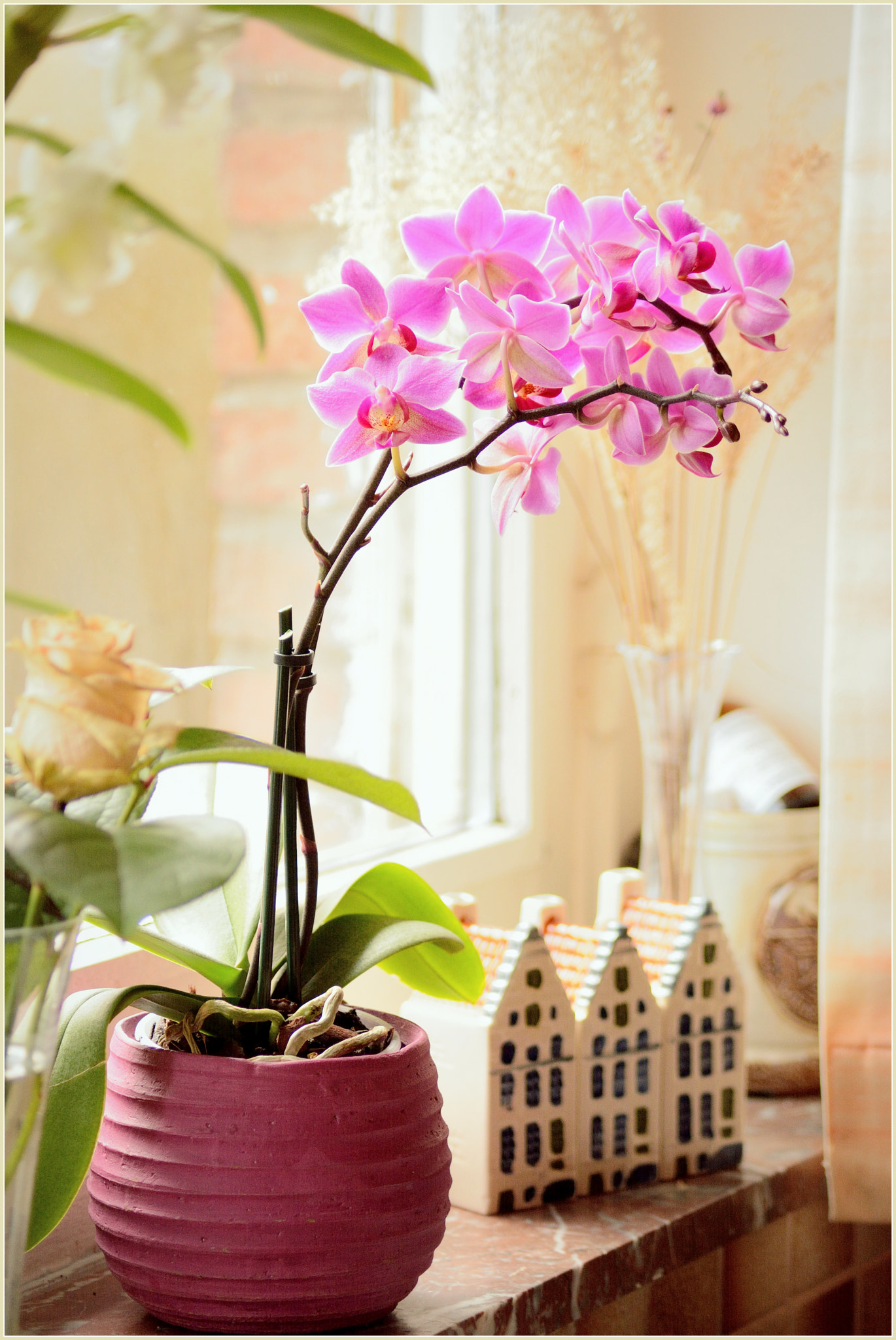 Nikon D5200 sample photo