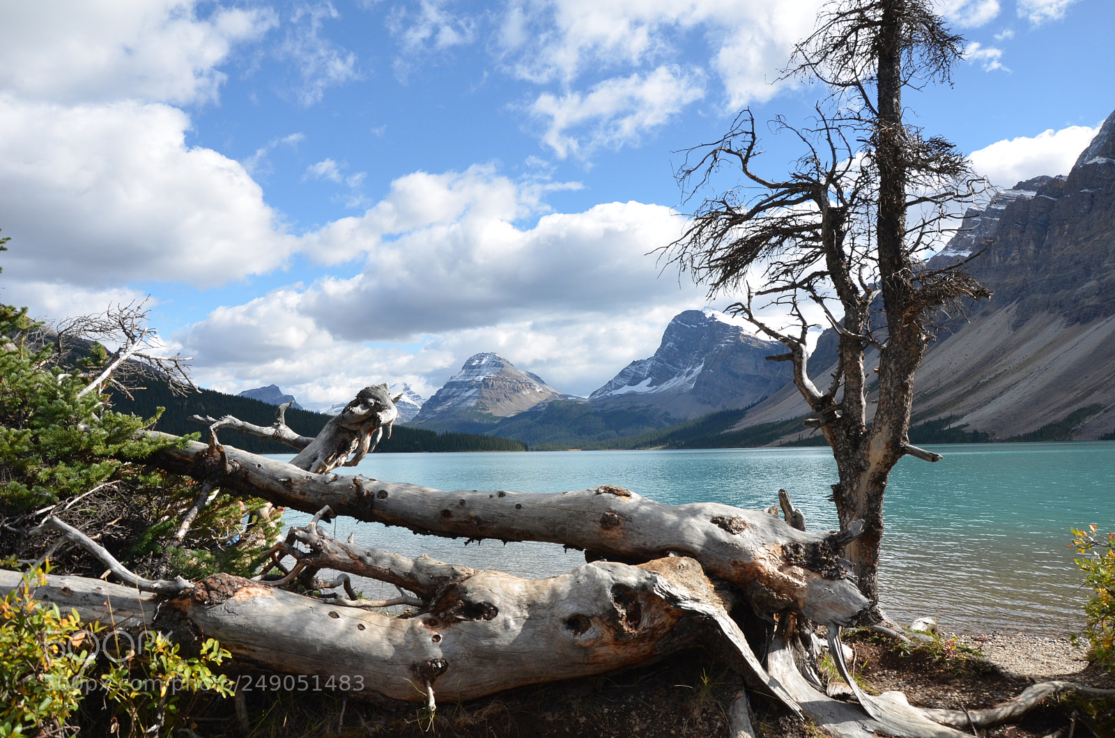Nikon D7000 sample photo. Bow lake canada photography