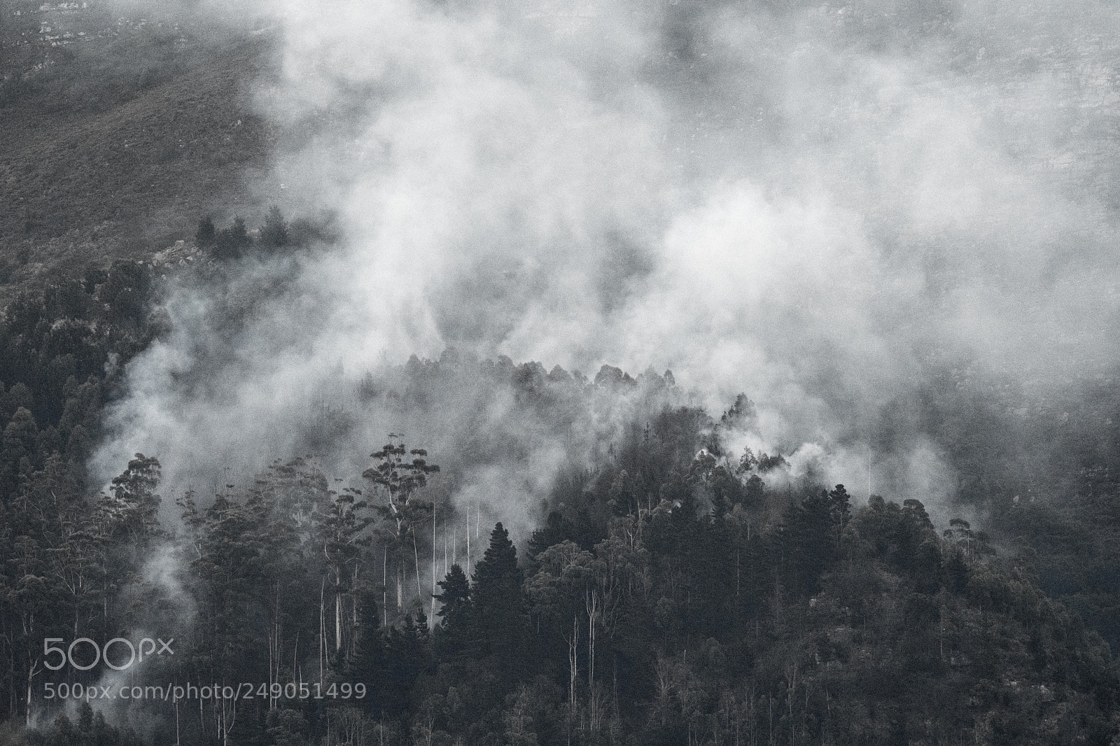 Nikon D7200 sample photo. After the fire photography