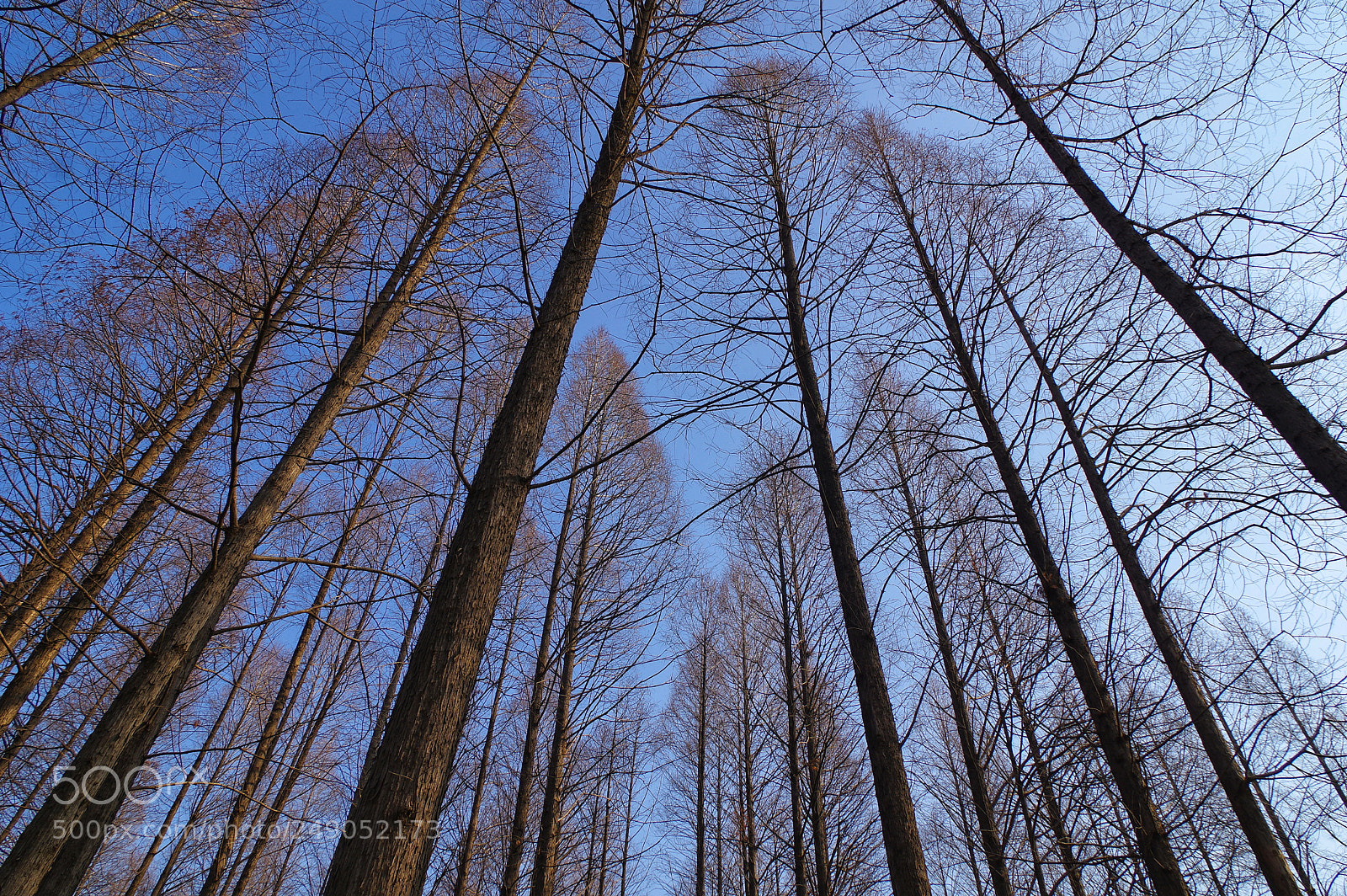 Pentax K-3 II sample photo. Untitled photography