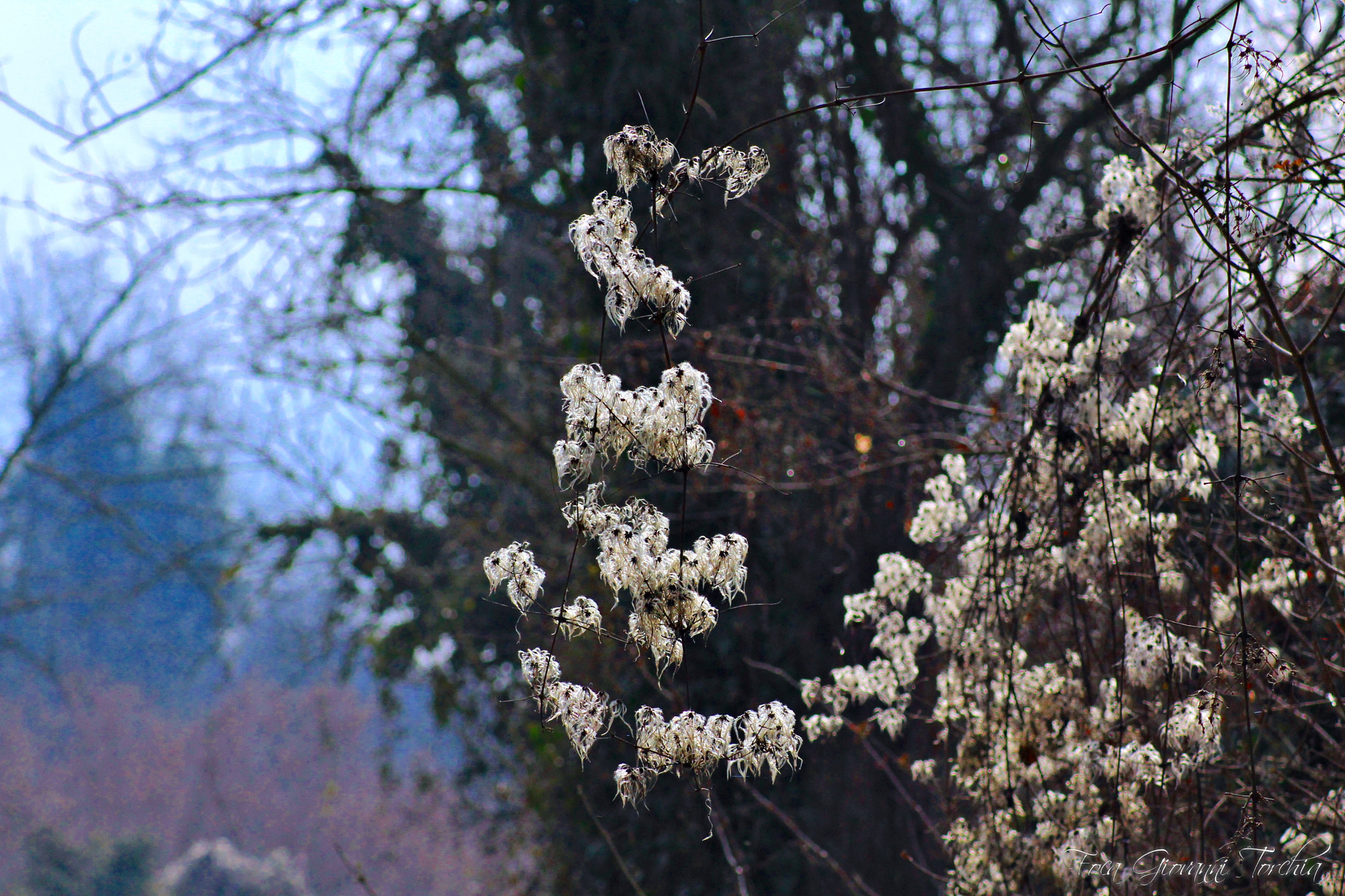 Canon EOS 1200D (EOS Rebel T5 / EOS Kiss X70 / EOS Hi) sample photo