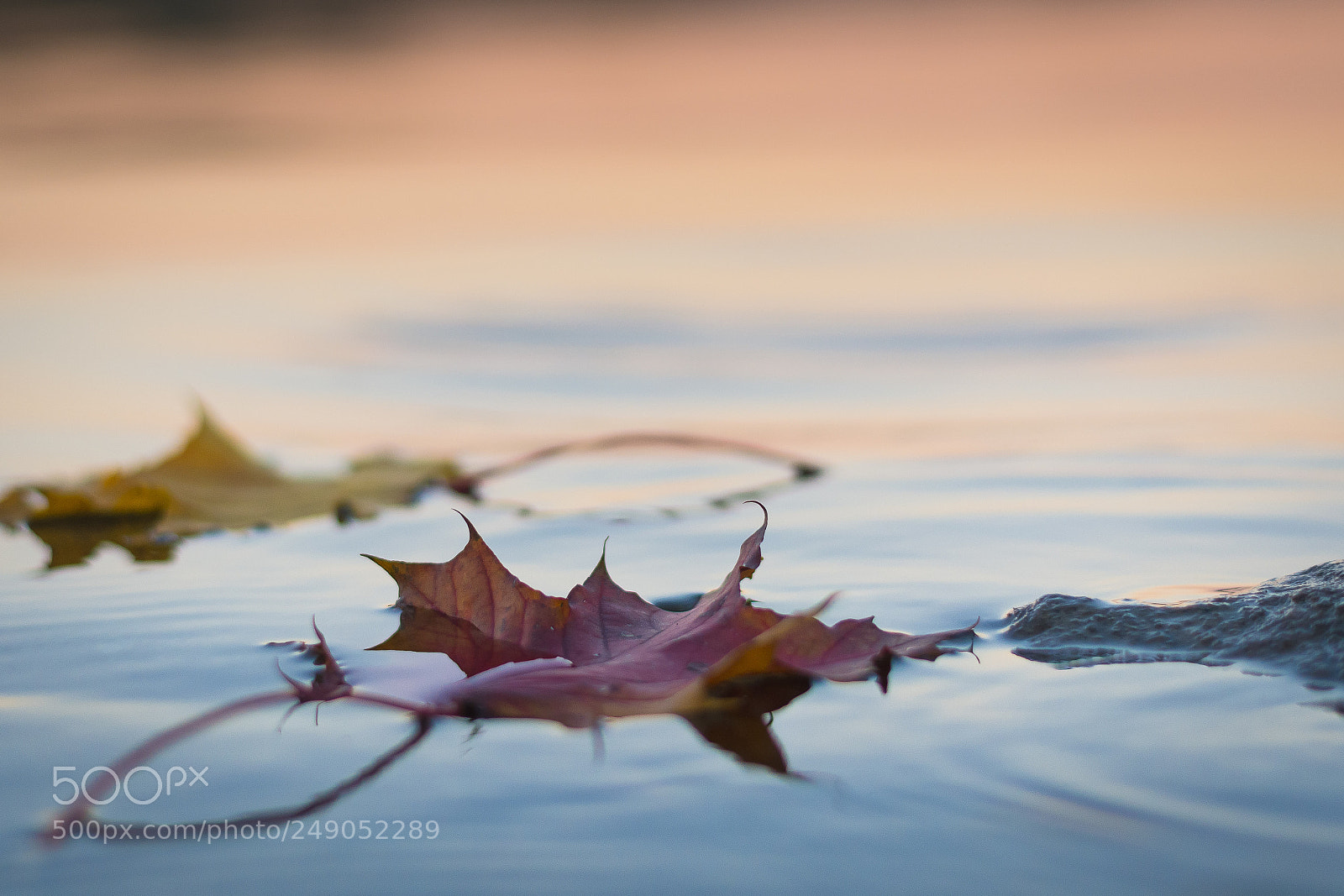 Nikon D7100 sample photo. Autumn blues photography