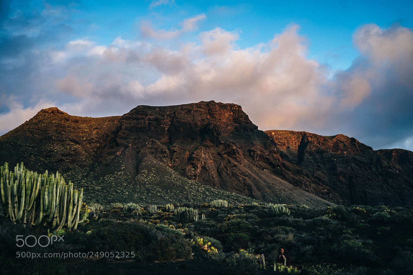 Sony a7 II sample photo. Volcanic landscape at tenerife photography
