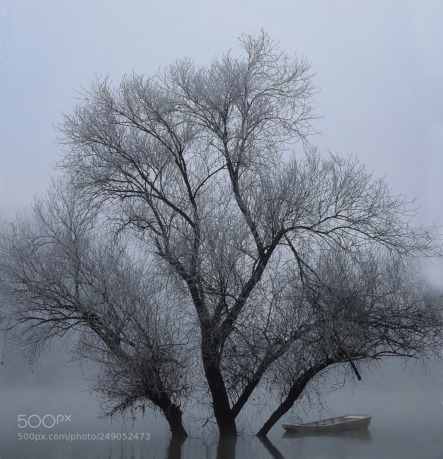 Canon EOS 750D (EOS Rebel T6i / EOS Kiss X8i) sample photo. Frozen tree photography