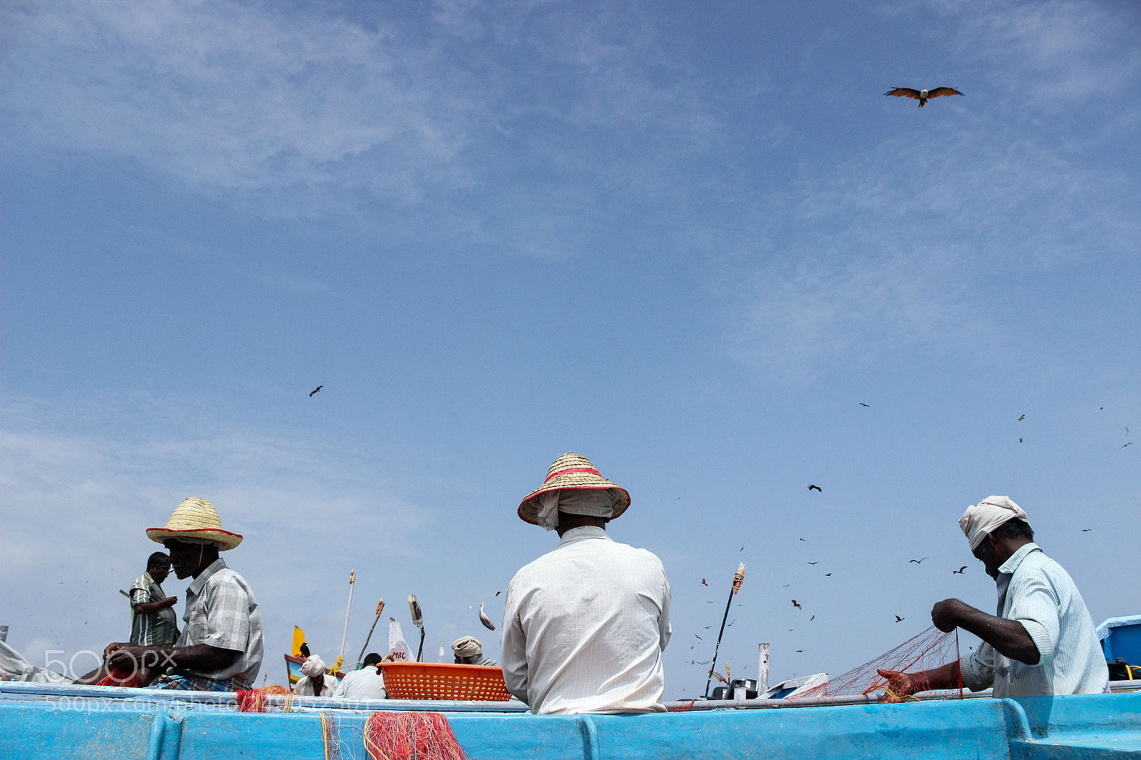 Canon EOS 600D (Rebel EOS T3i / EOS Kiss X5) sample photo. Collecting fish photography