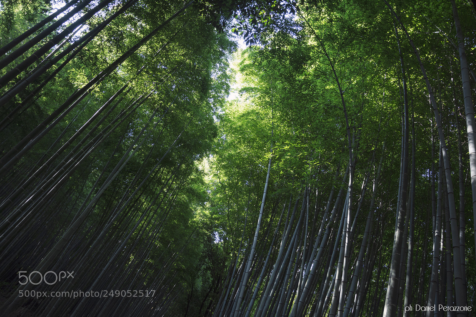 Nikon D7100 sample photo. Arashiyama | 1 photography