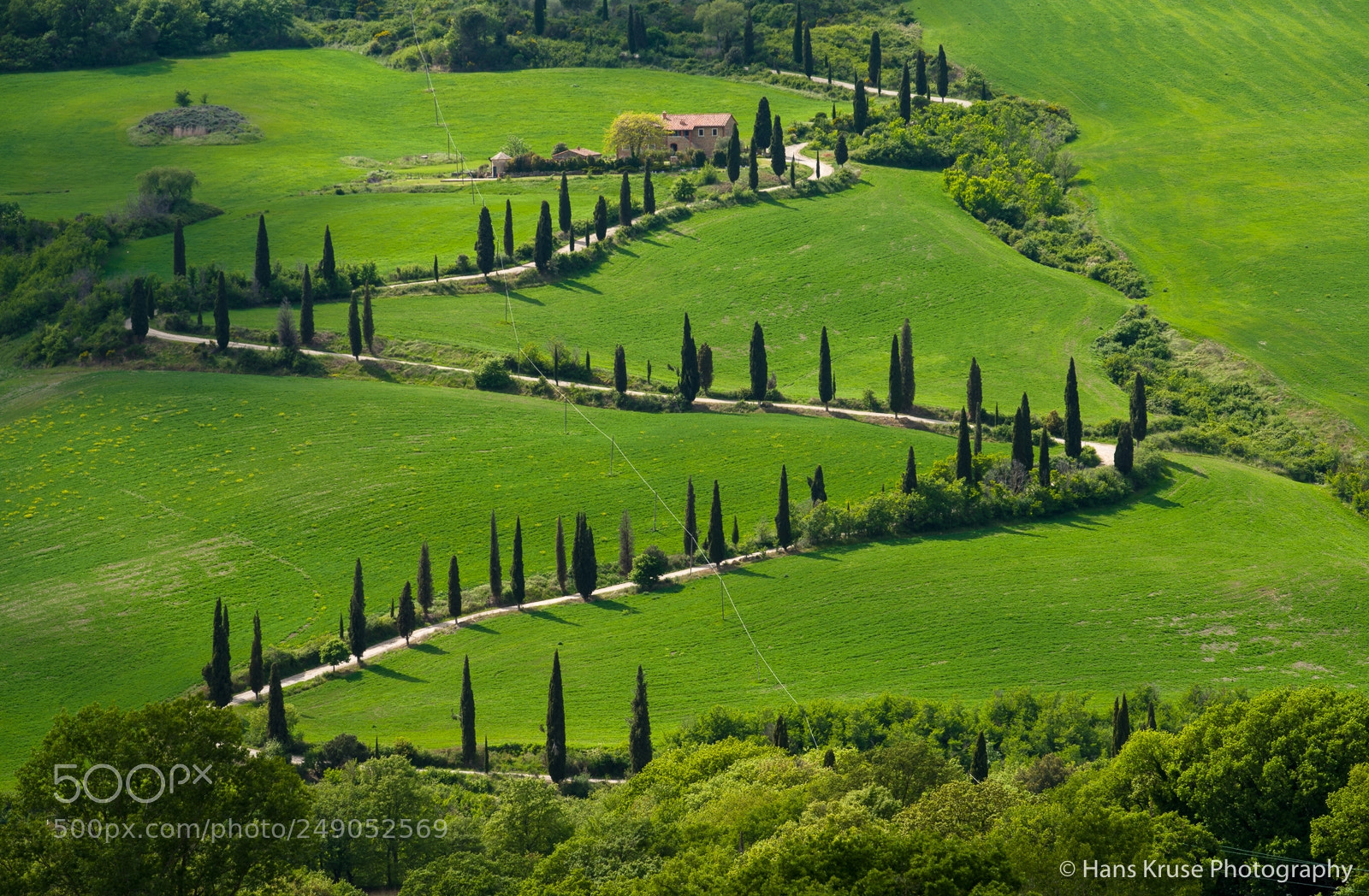 Nikon D810 sample photo. The winding road photography