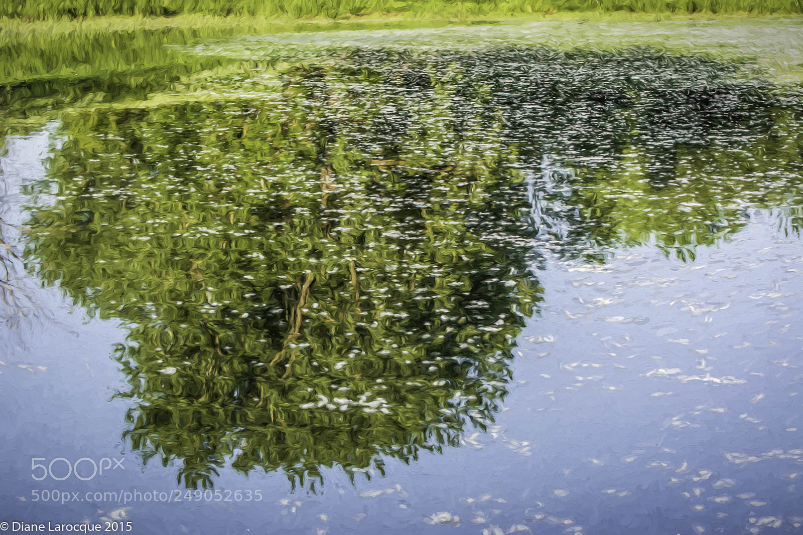 Nikon D7100 sample photo. Les de boucherville, r photography