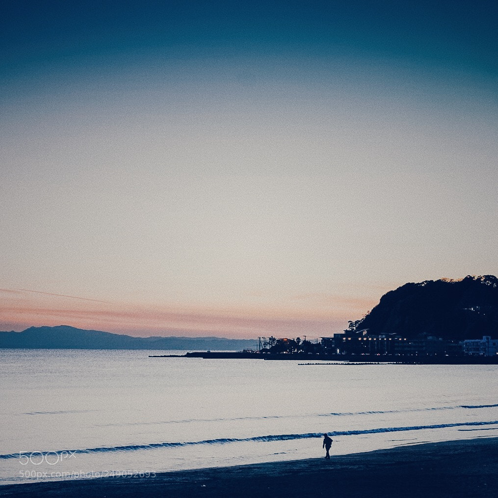 Sony a7S sample photo. Kamakura zaimokuza photography
