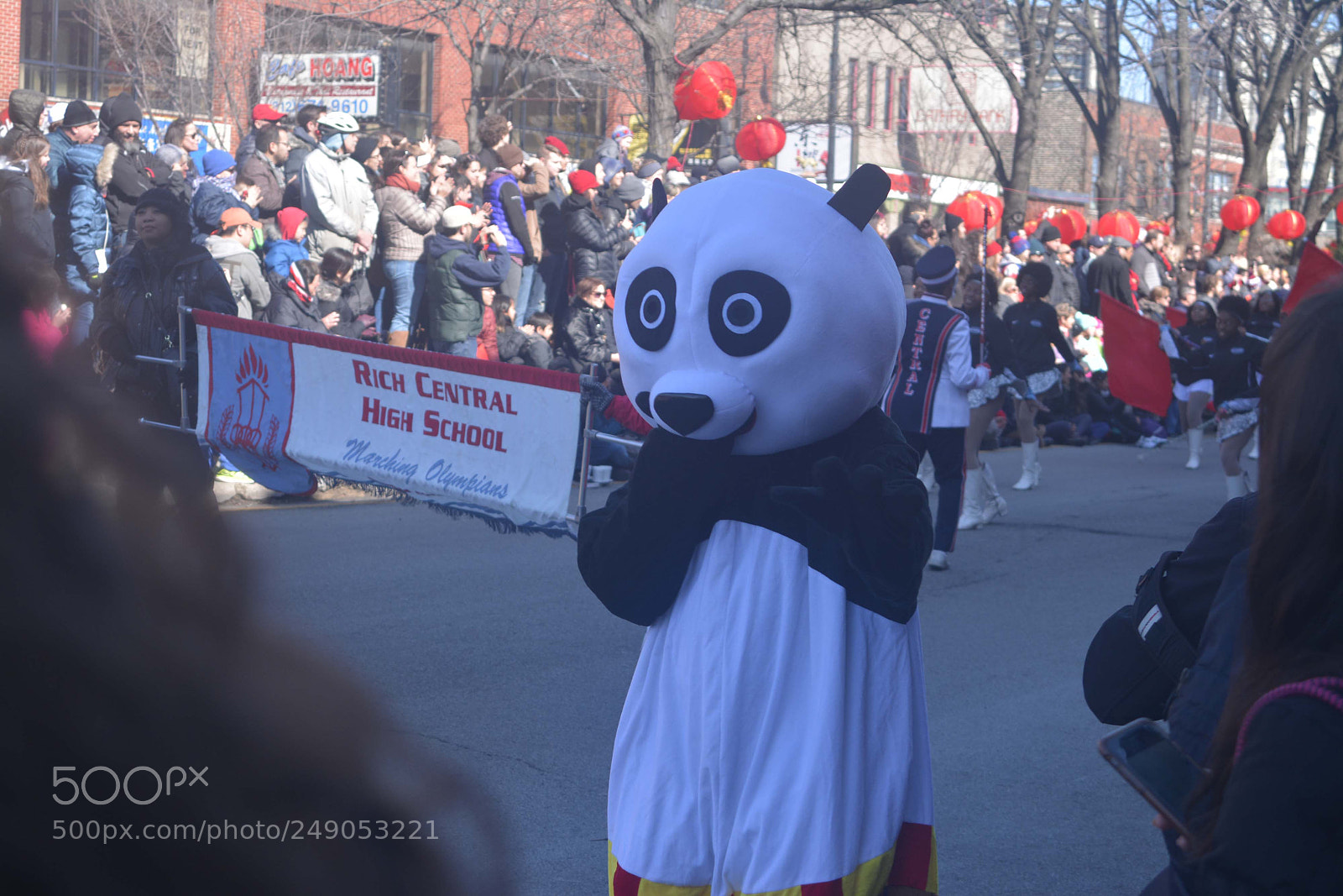 Nikon D7100 sample photo. Panda costume photography