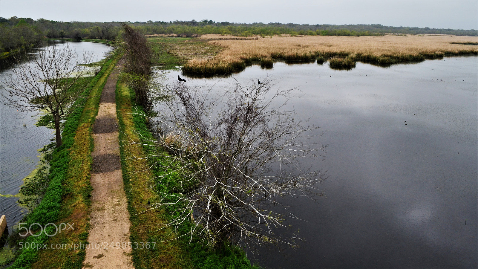Nikon D3100 sample photo. Pathways photography