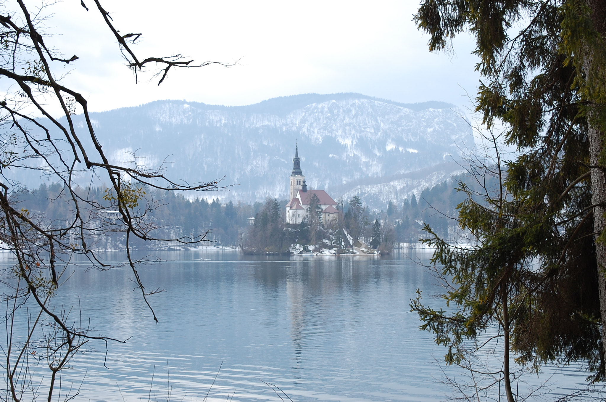 Nikon D40 sample photo. Bled 2, 10.03.2018 photography