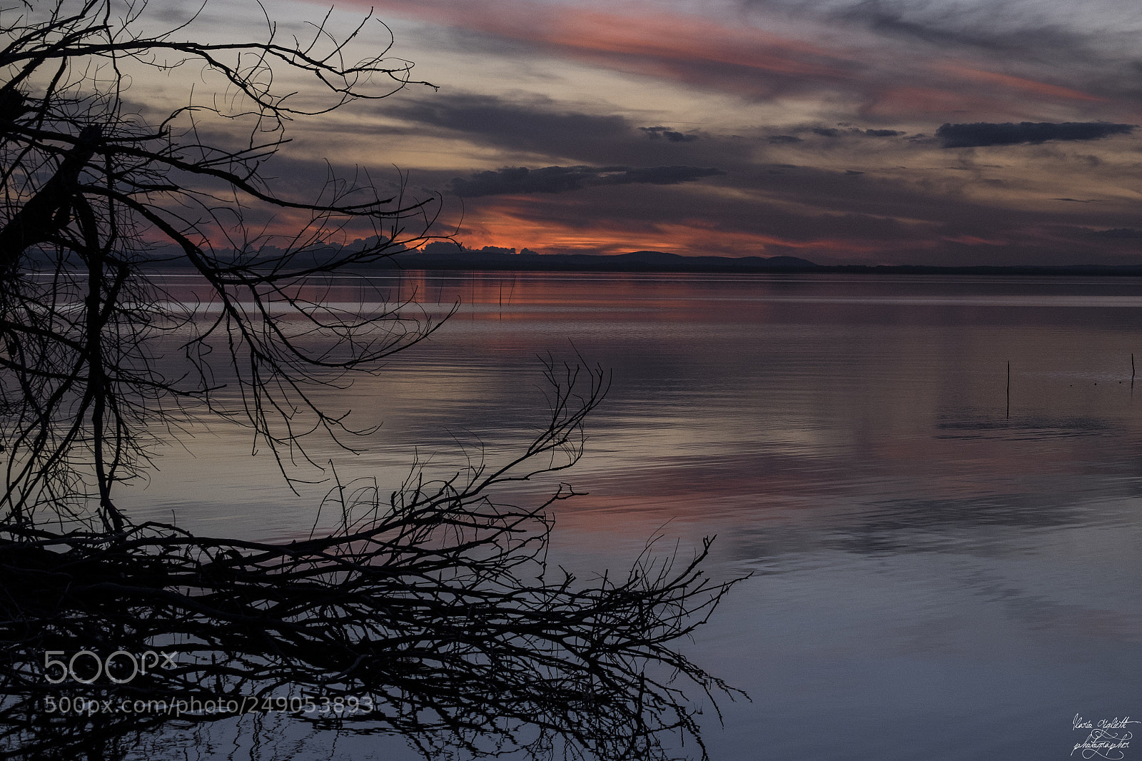 Fujifilm X-T1 sample photo. Plants on the lake photography