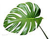 Canon EOS 5D sample photo. 92050588 photography