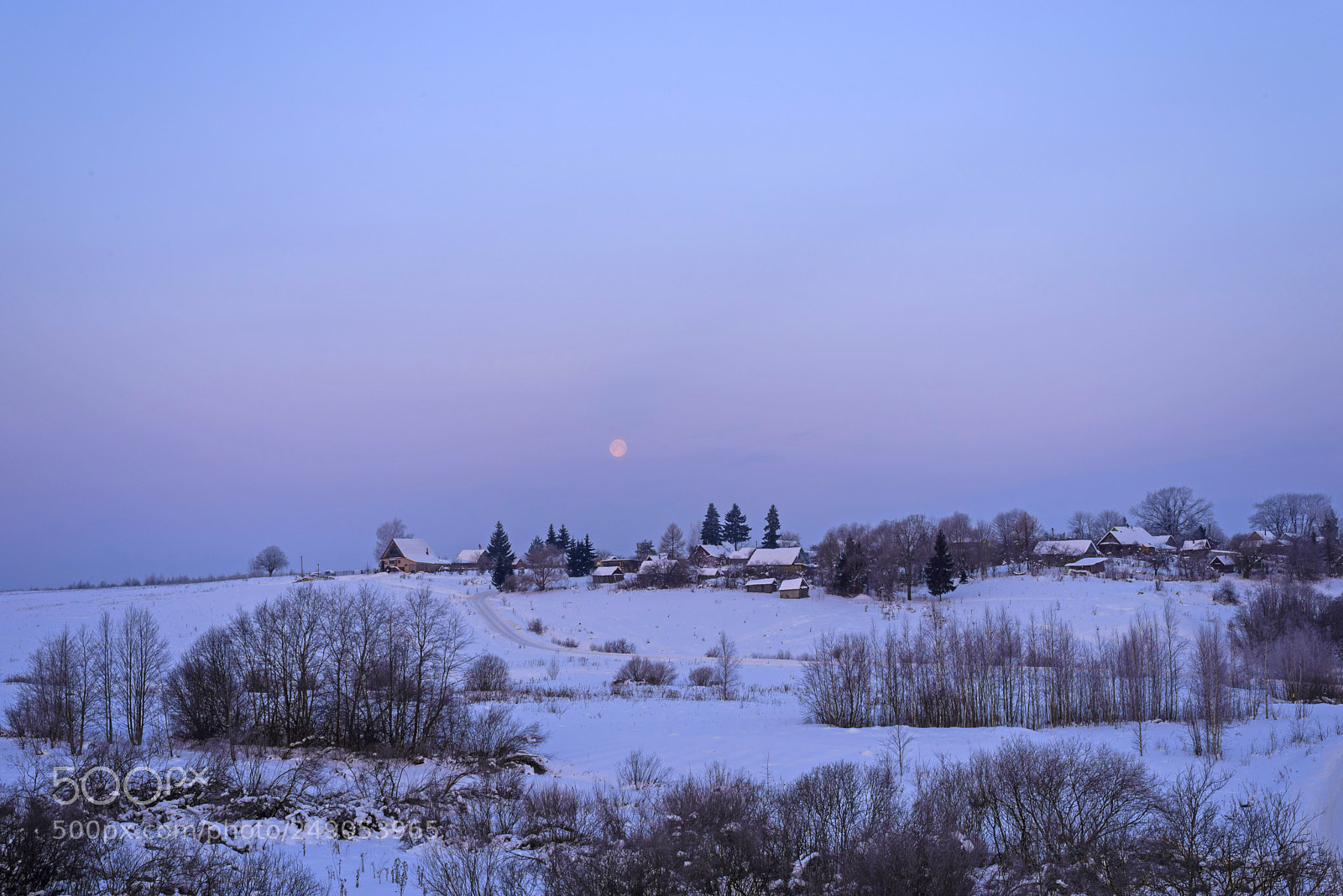 Nikon D610 sample photo. Moon over a winter photography