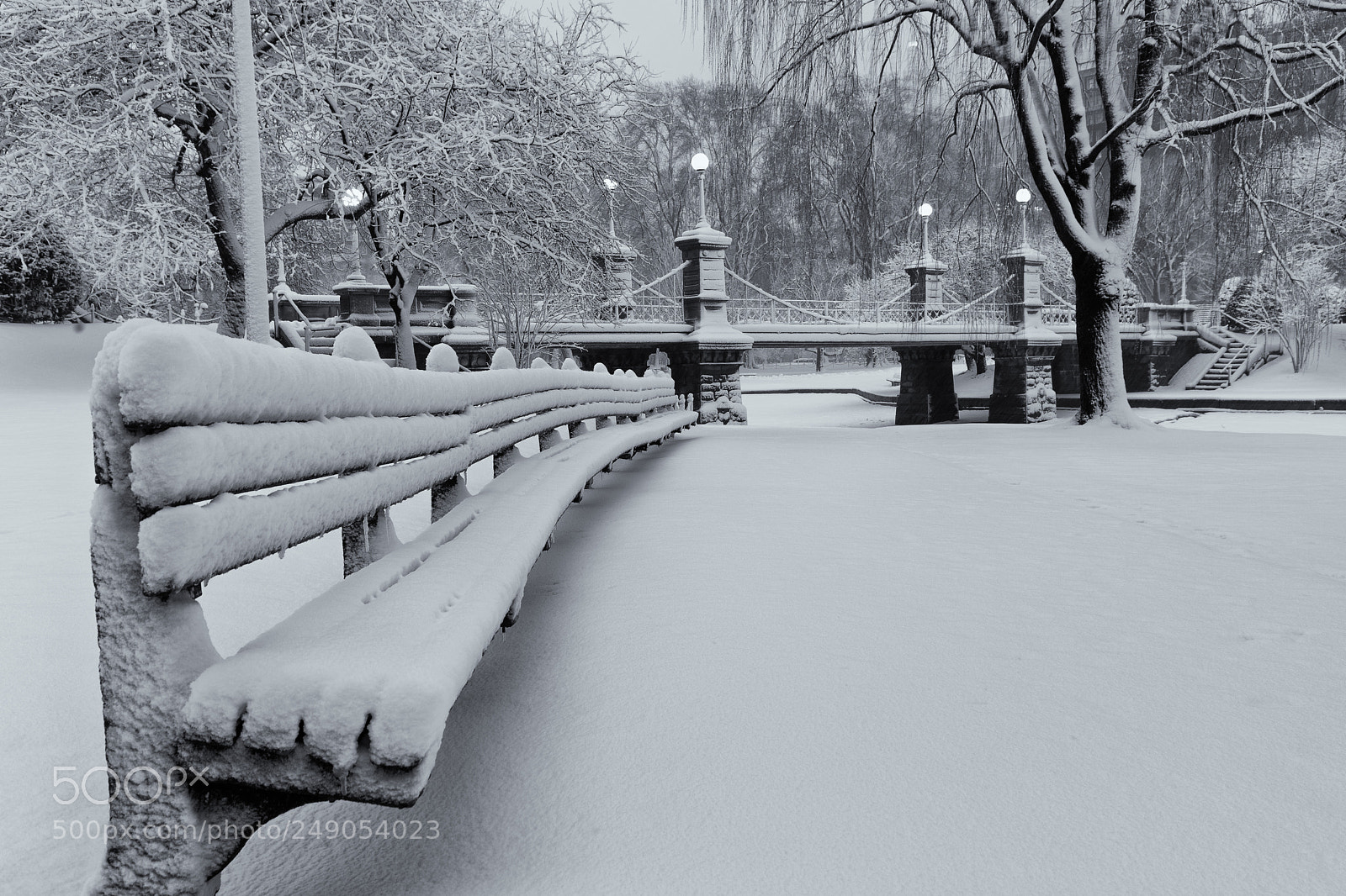 Canon EOS 5D Mark IV sample photo. Boston public garden photography