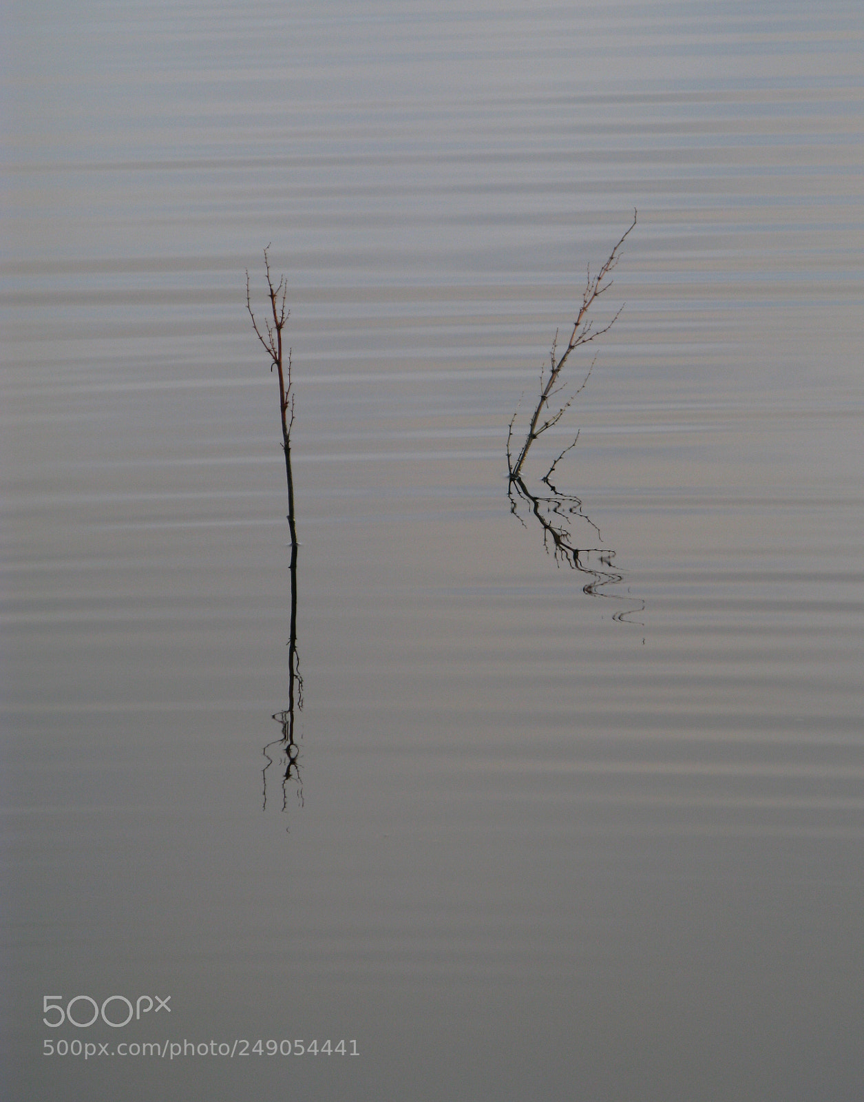 Canon POWERSHOT G9 sample photo. Flooded field photography