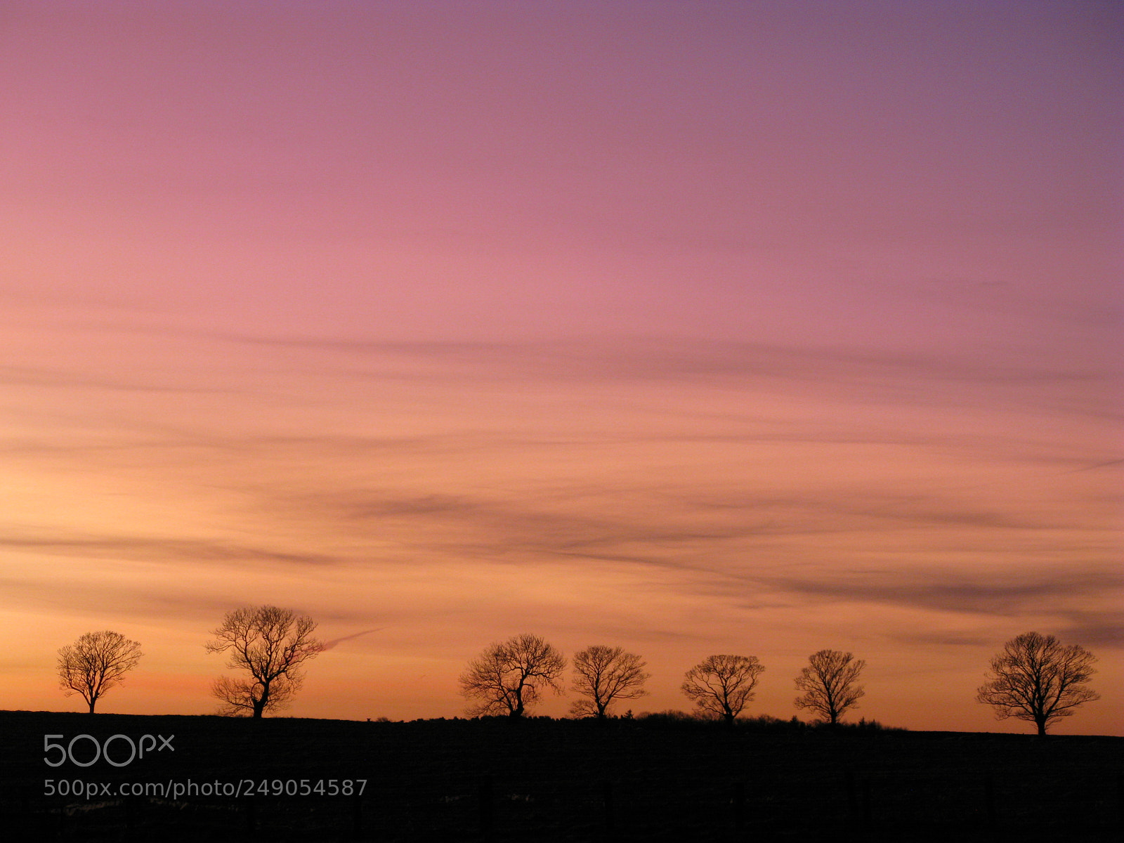 Canon POWERSHOT G9 sample photo. Ash trees at dawn photography