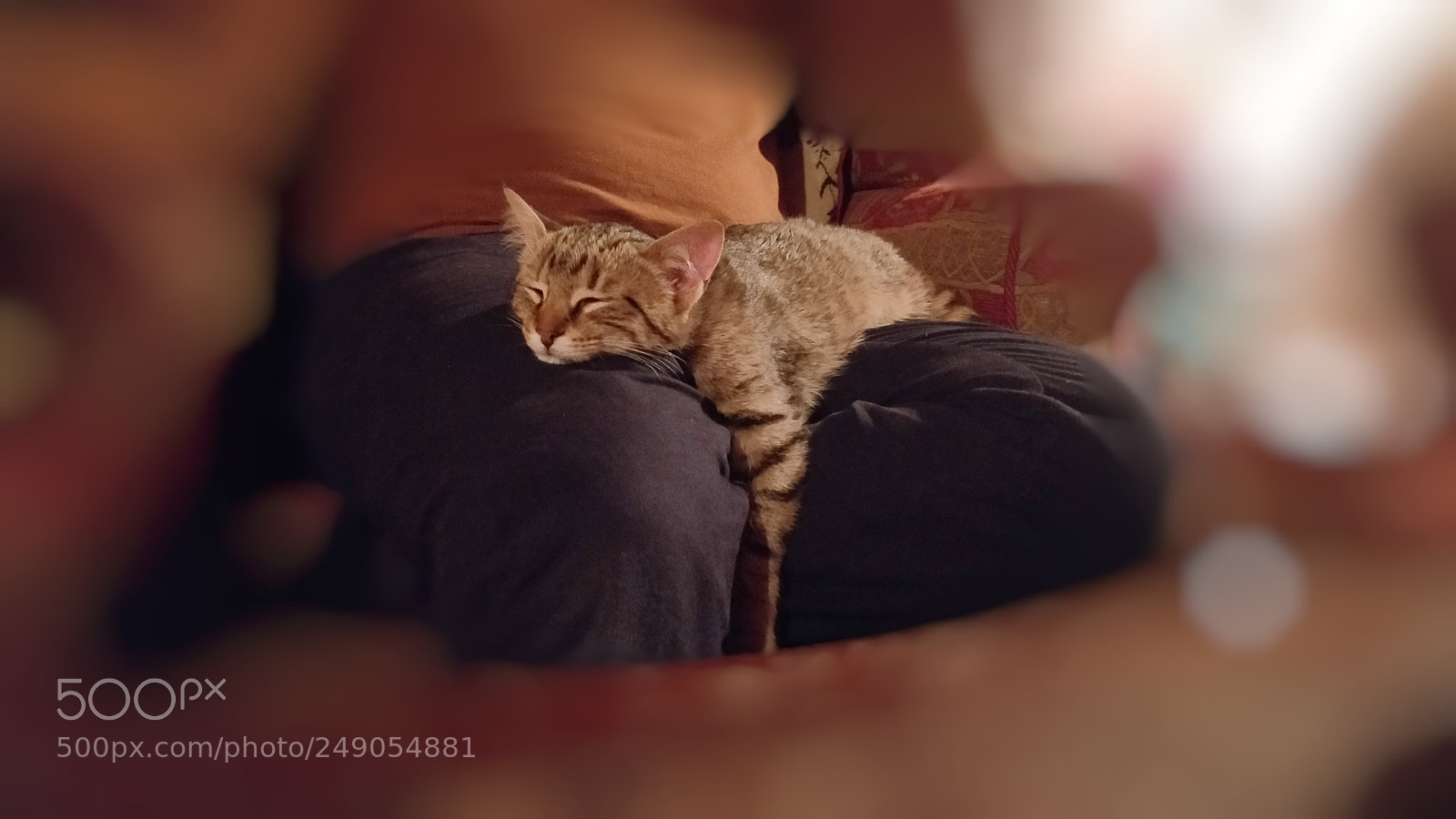 OnePlus 5 sample photo. Nap !!! photography