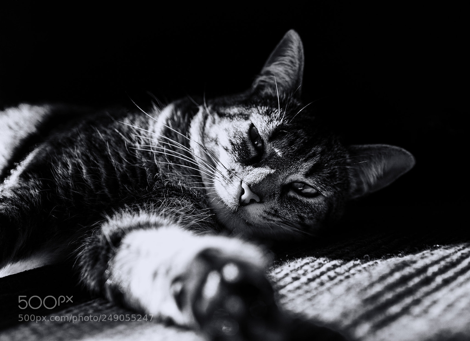 Nikon D7500 sample photo. Untitled photography
