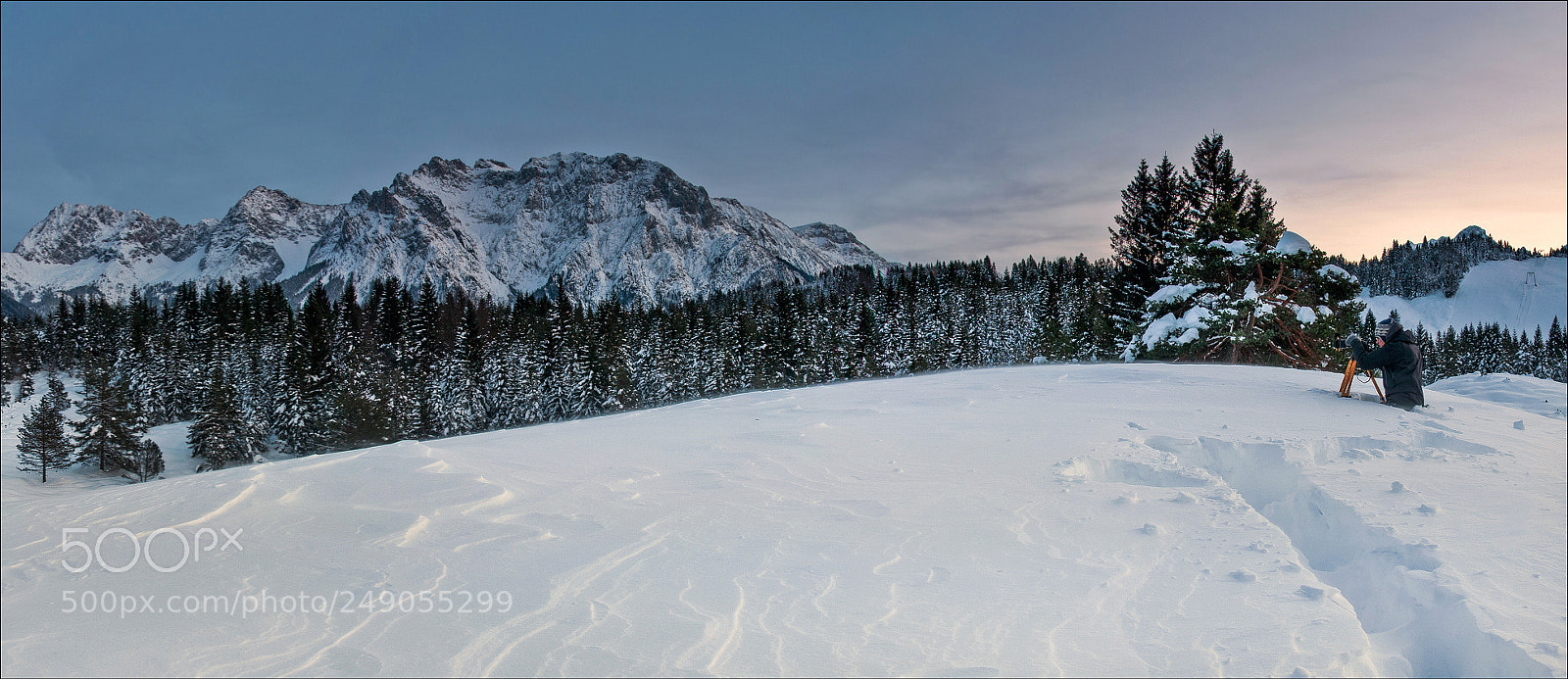 Nikon D300S sample photo. °°° the photographer °°° photography