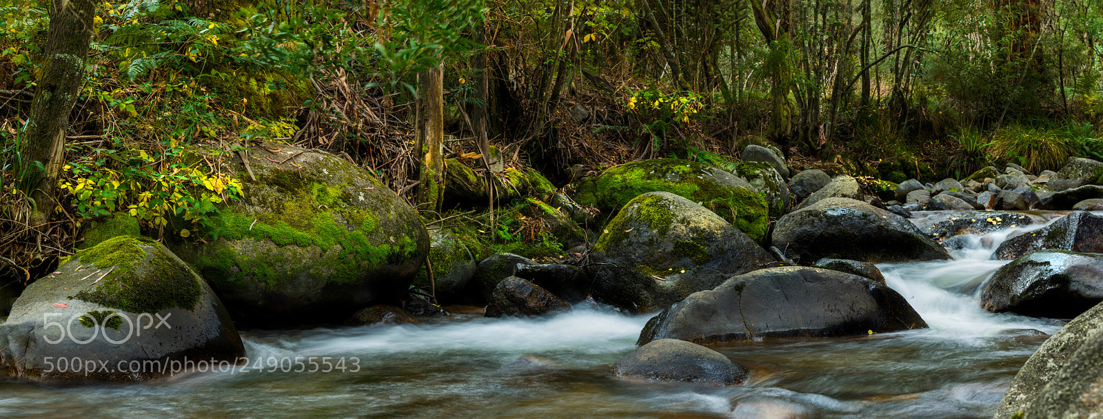 Nikon D7200 sample photo. Mirimbah creek photography