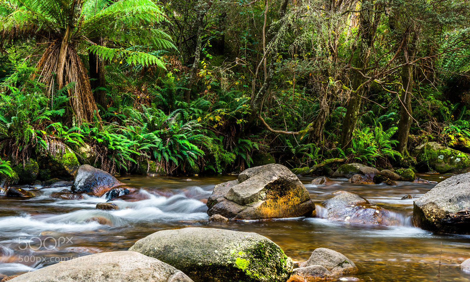 Nikon D7200 sample photo. Mirimbah creek panorama photography