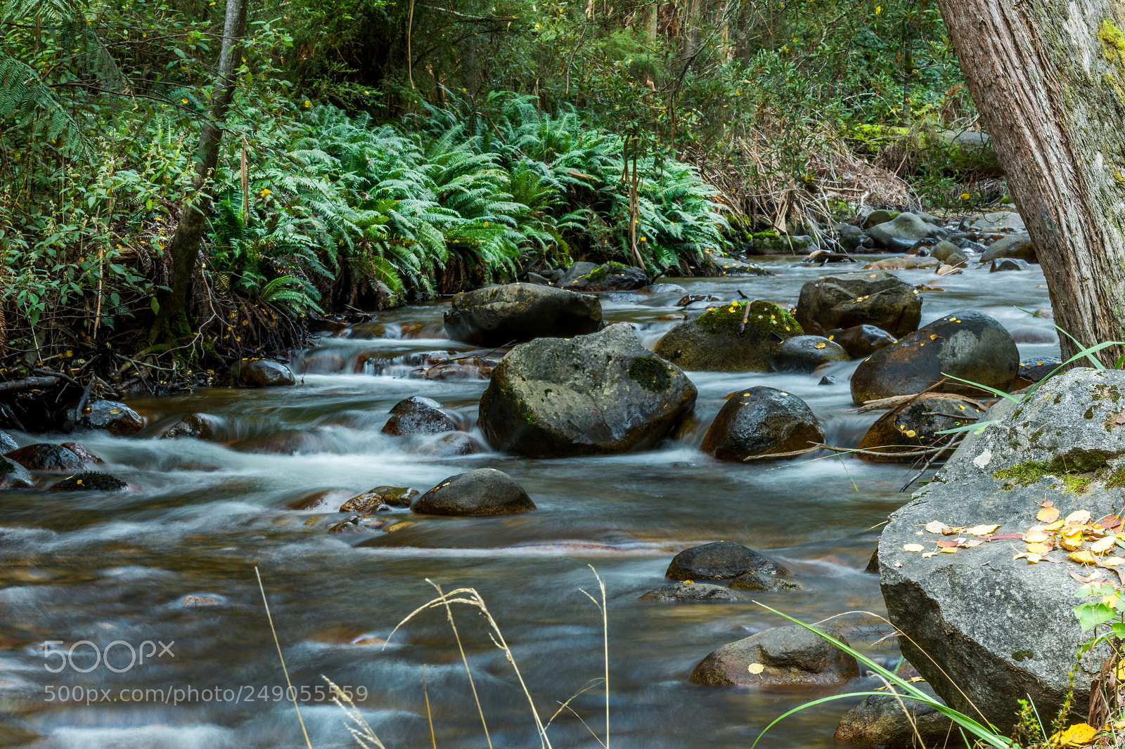 Nikon D7200 sample photo. Mirimbah picnic area photography