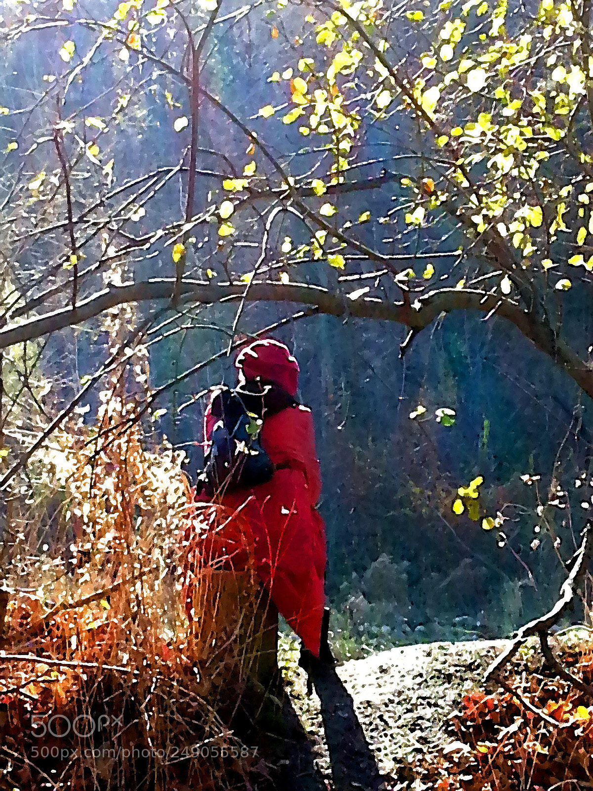Samsung Galaxy S3 sample photo. Walk with anne photography
