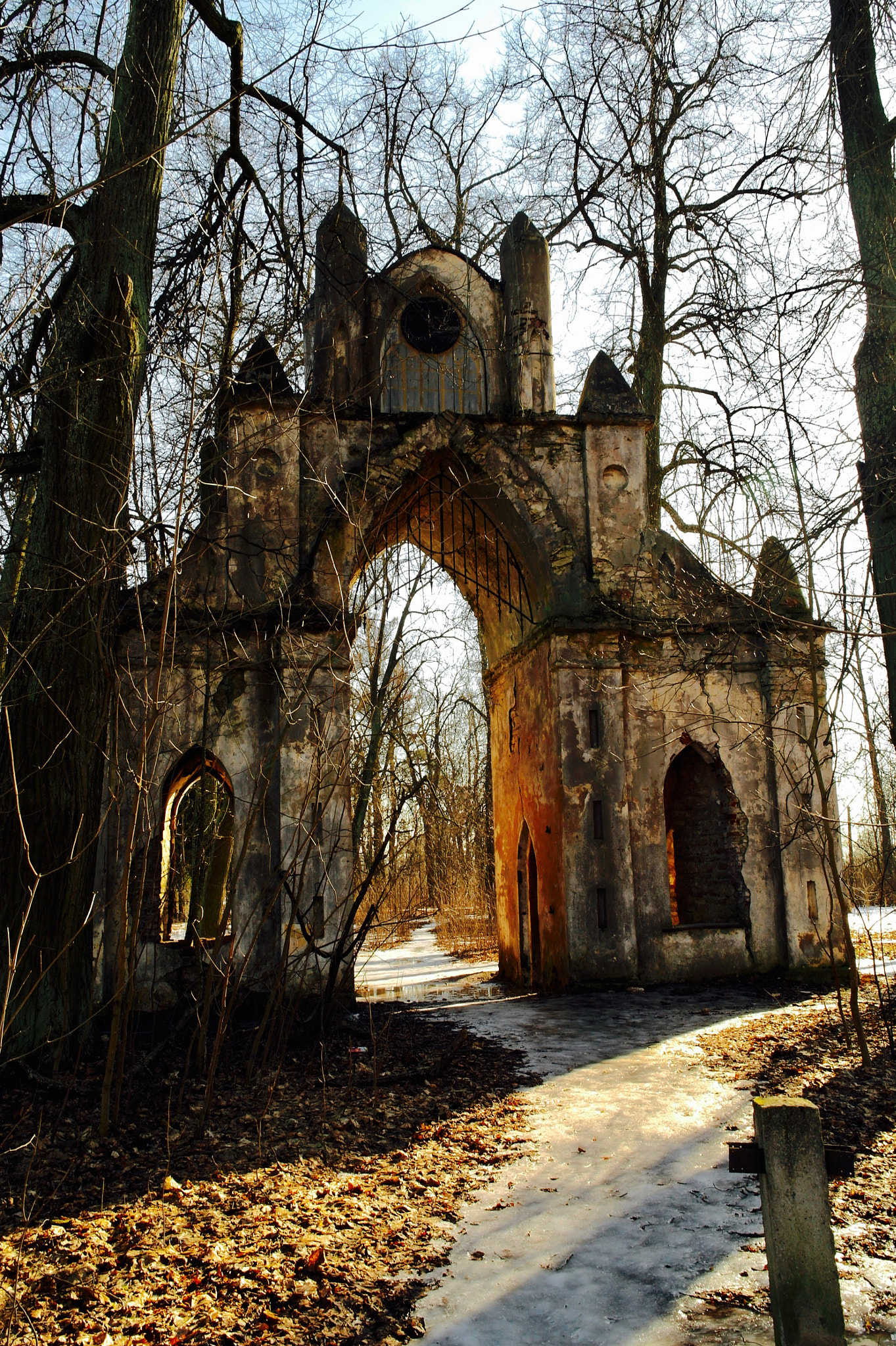 Samsung NX11 sample photo. Gothic gates photography
