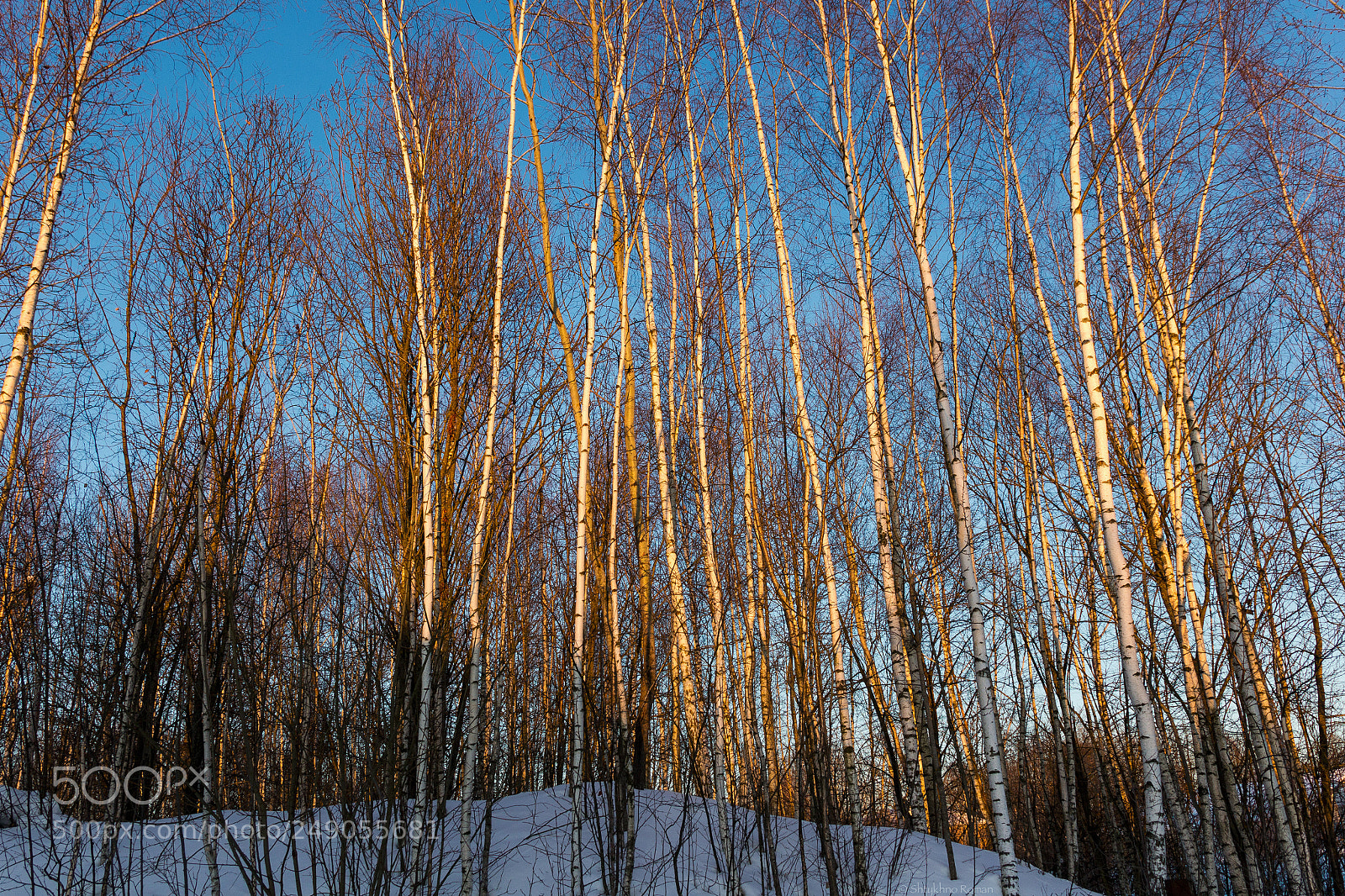 Canon EOS 60D sample photo. Evening light photography