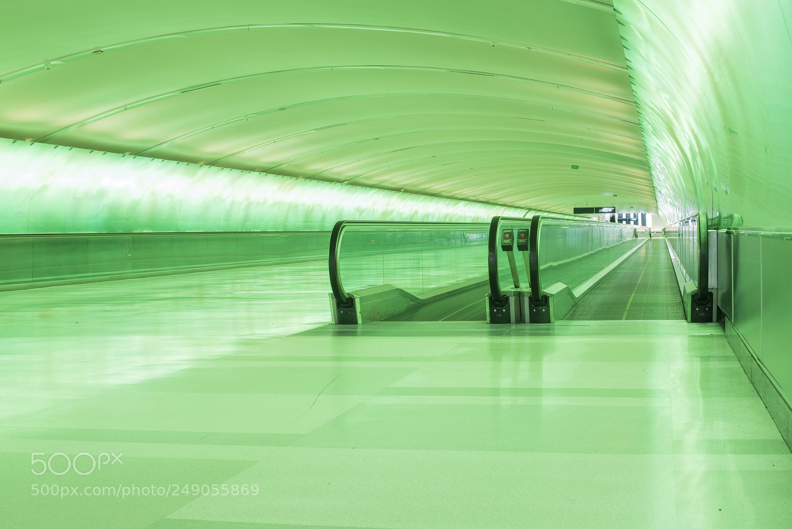 Nikon D810 sample photo. Green tunnel photography