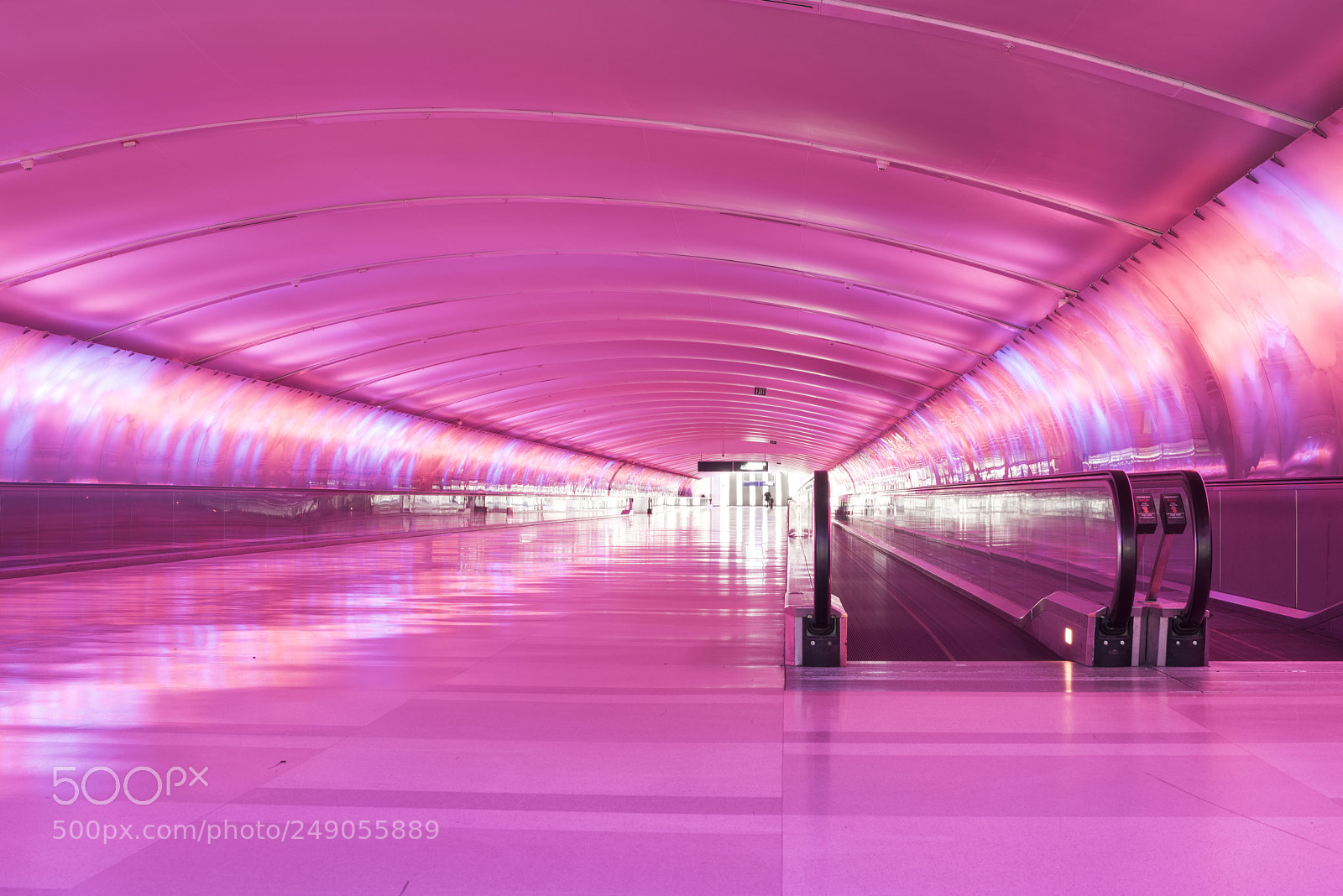 Nikon D810 sample photo. Pink  light tunnel photography