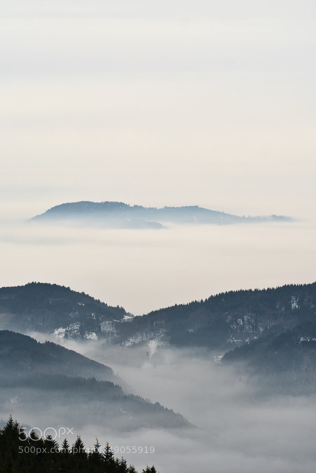Sony a6300 sample photo. Foggy hornisgrinde photography