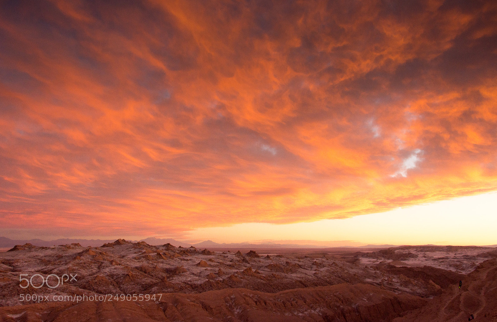 Nikon D7200 sample photo. Sky is on fire photography