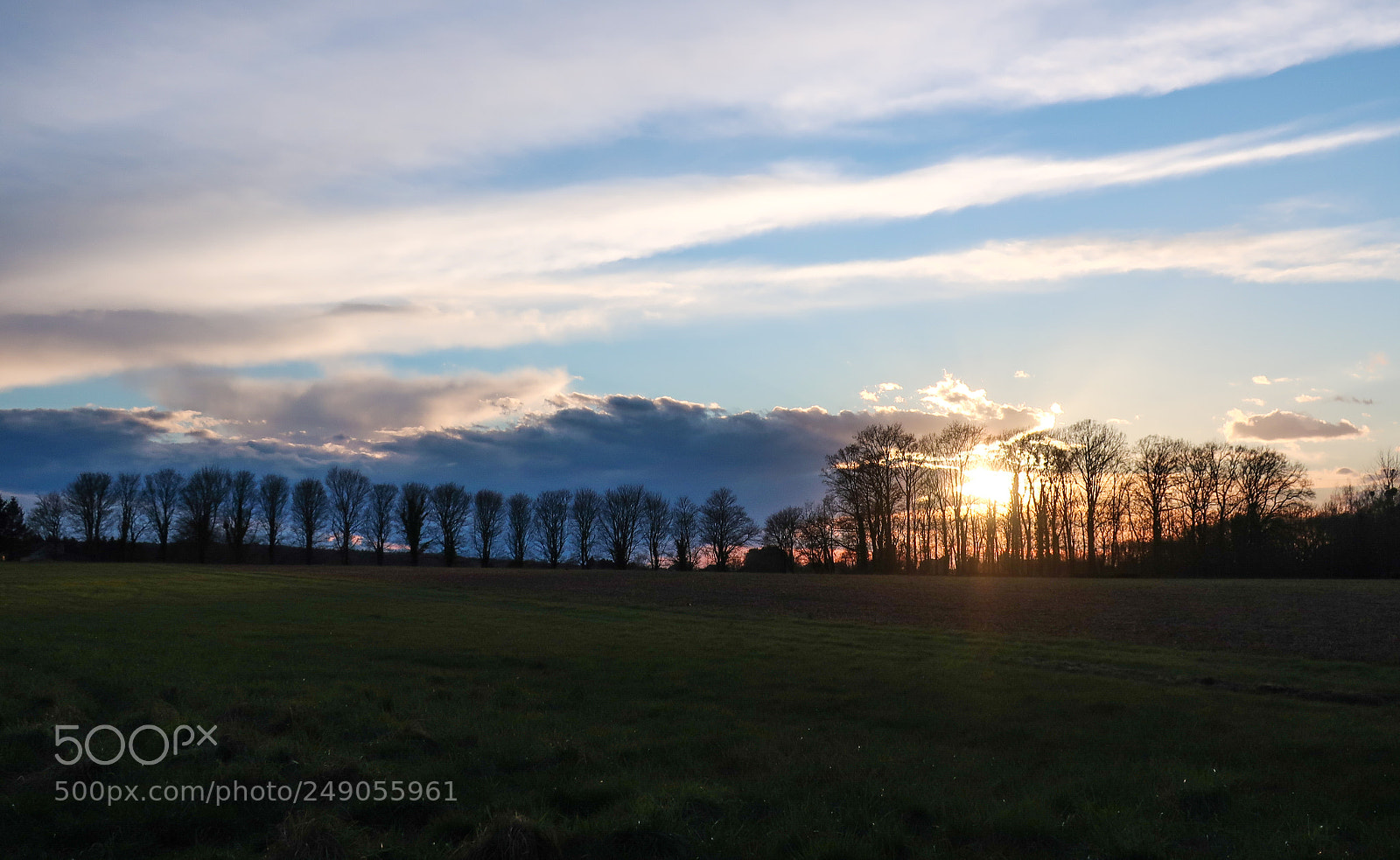 Canon PowerShot G9 X Mark II sample photo. Sunset trees photography